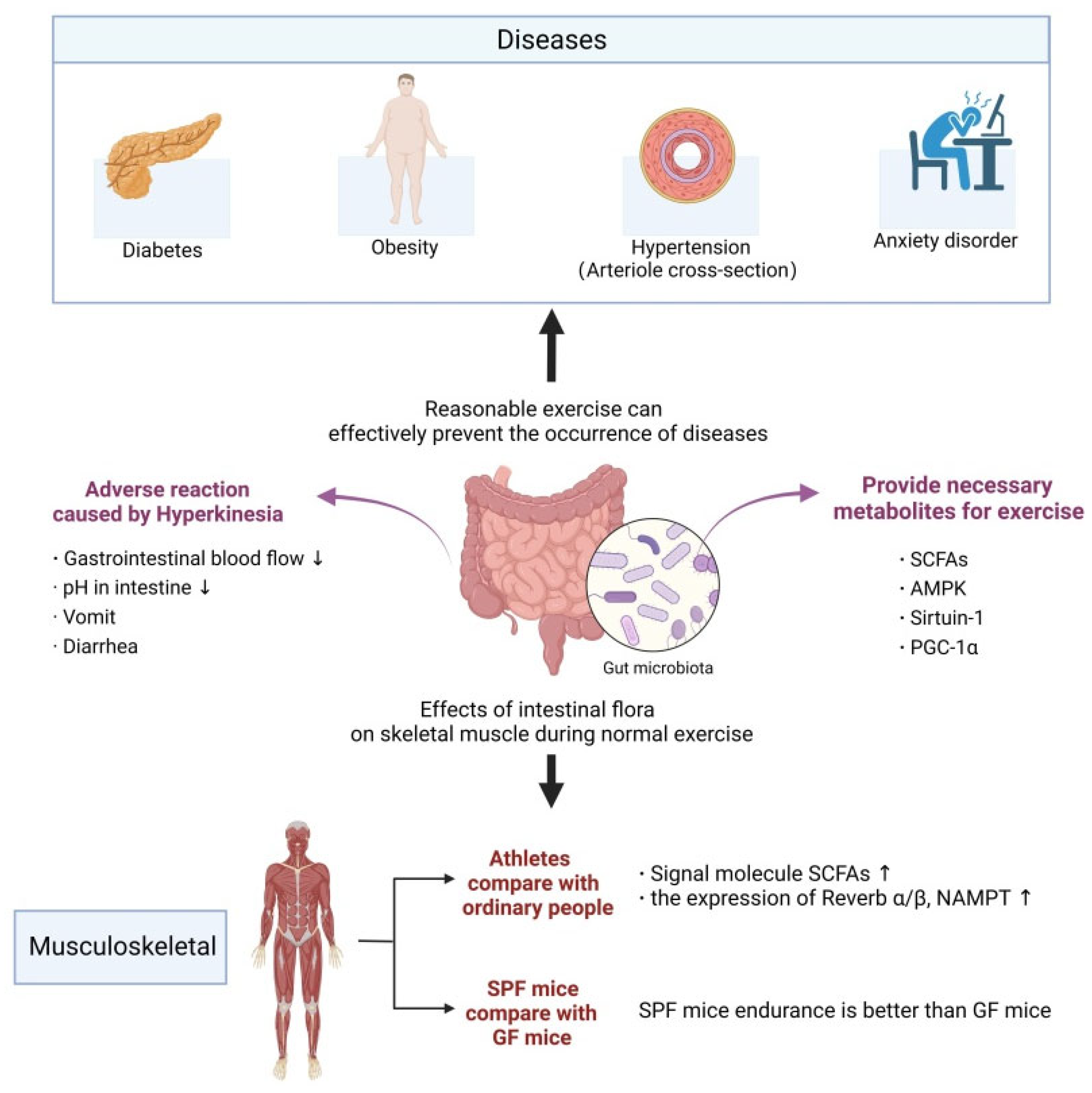Nutrients 15 02743 g002 Nutrients 15 02743 g002
