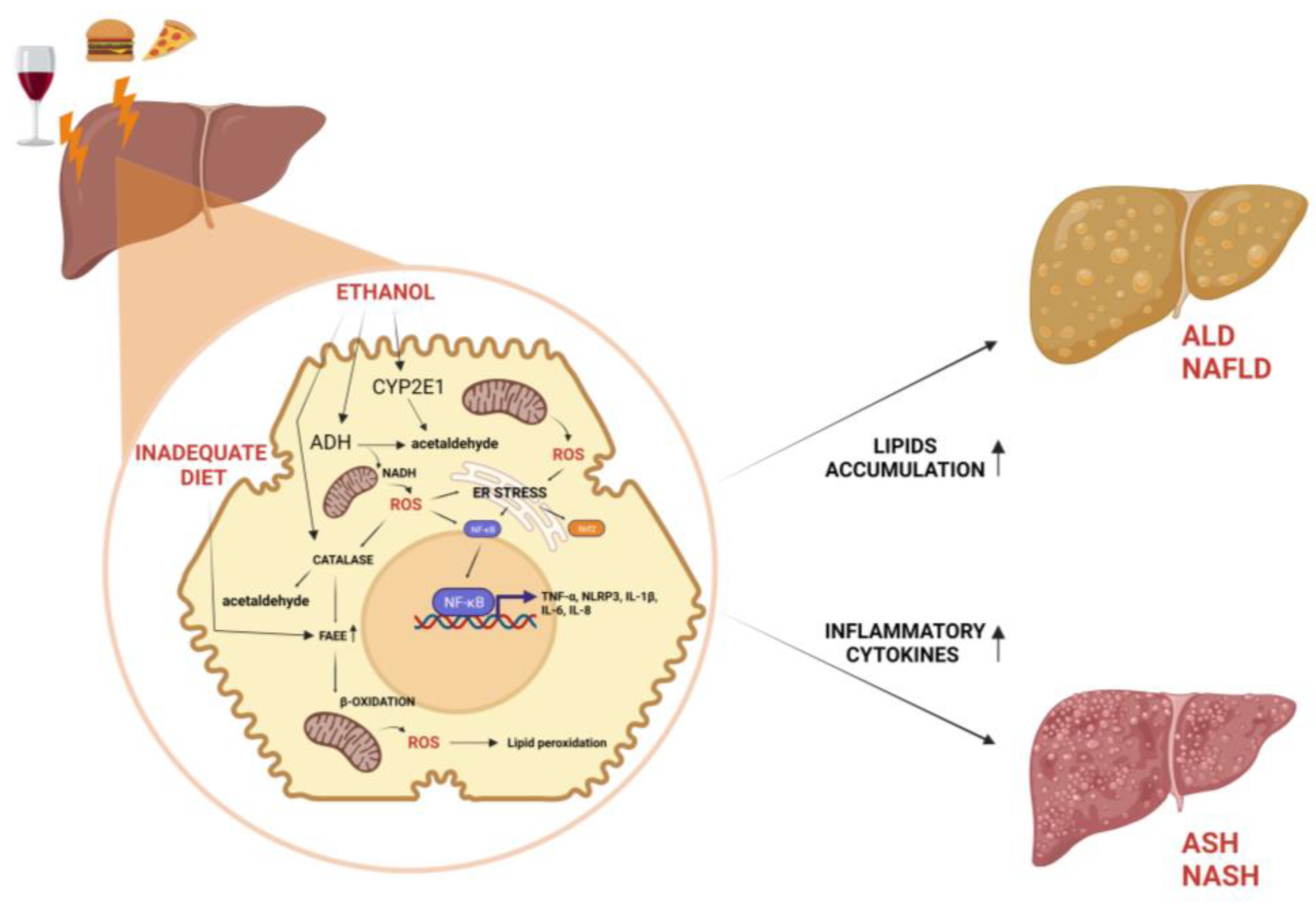 Nutrients 15 02748 g001