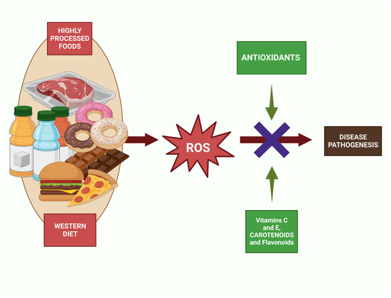 Research Shows Vegan Diet Leads to Nutritional Deficiencies, Health  Problems; Plant-Forward Omnivorous Whole Foods Diet Is Healthier