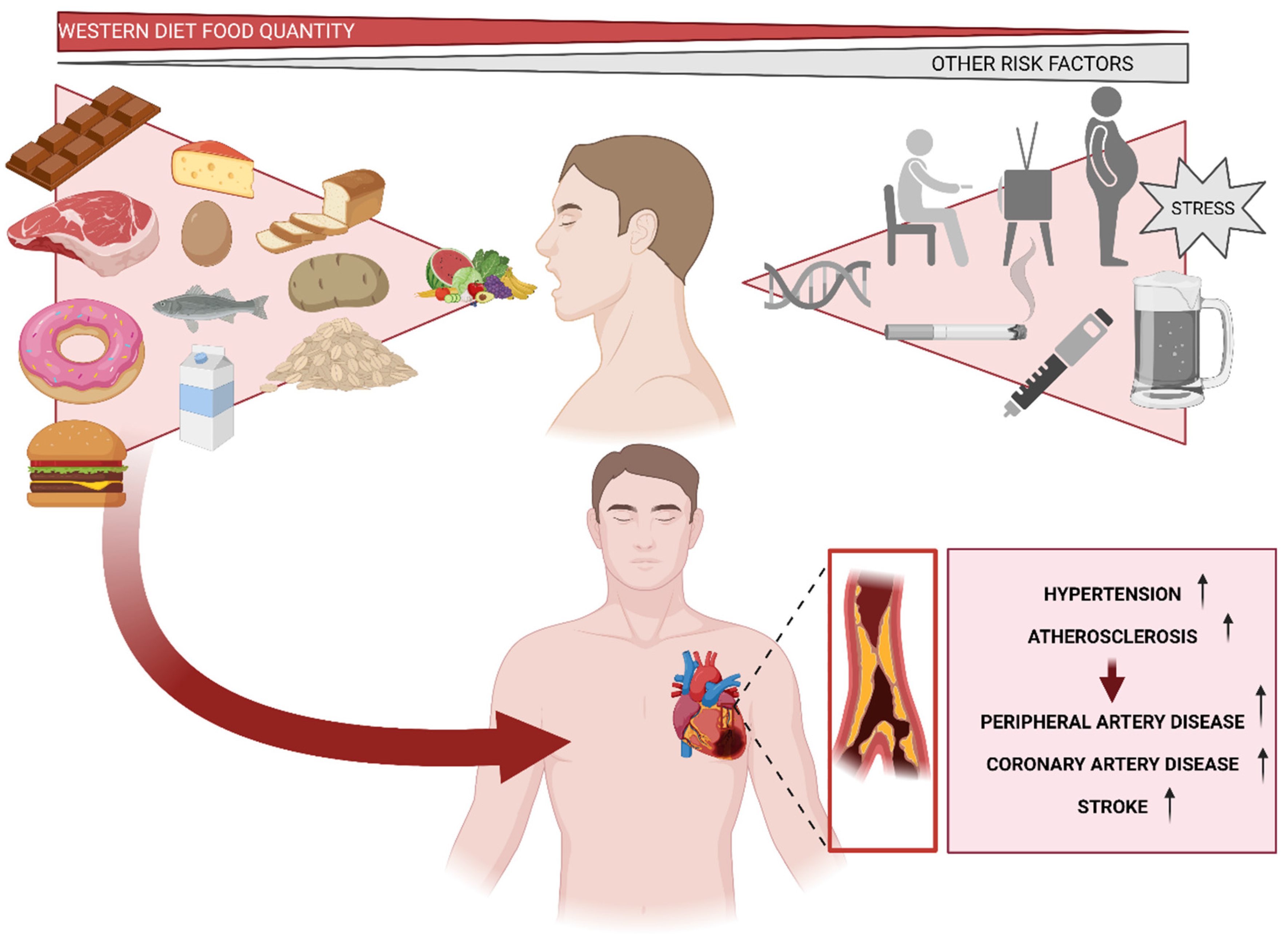 Nutrients 15 02749 g004 Nutrients 15 02749 g004