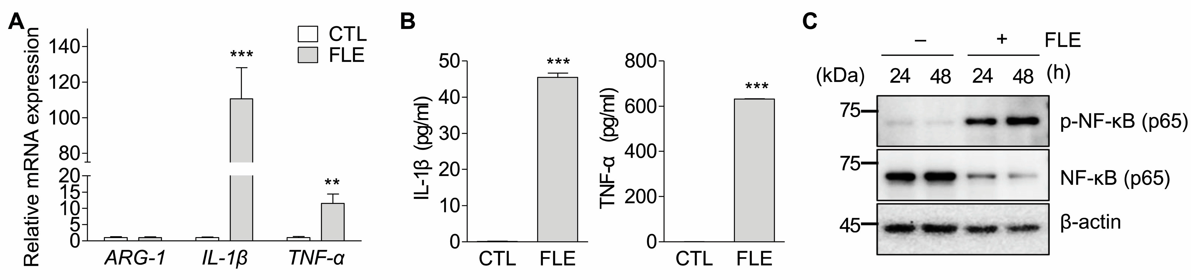 Nutrients 15 02750 g003 Nutrients 15 02750 g003