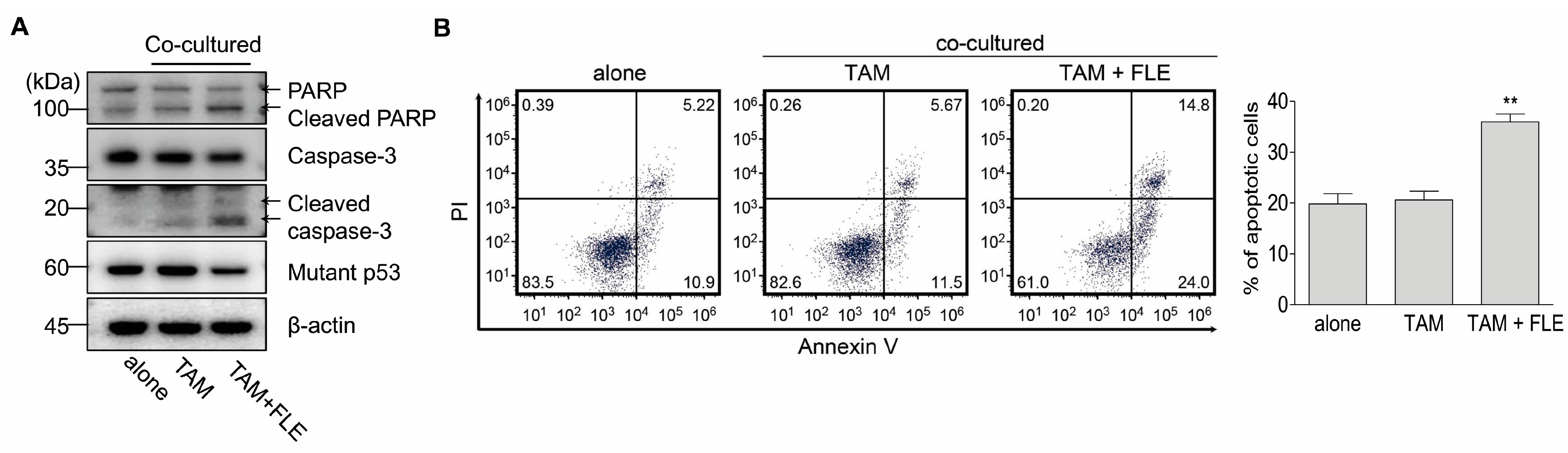 Nutrients 15 02750 g004 Nutrients 15 02750 g004