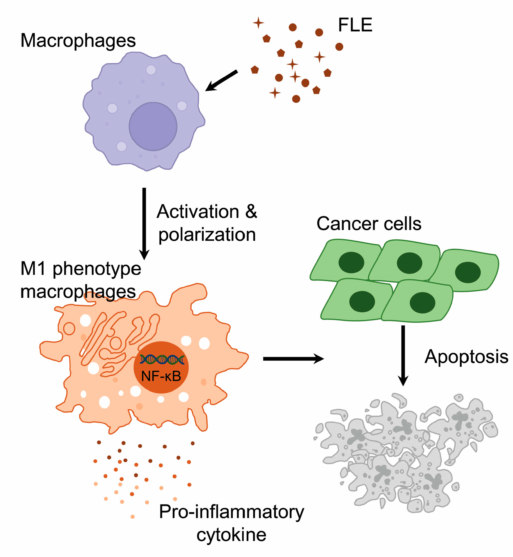 Nutrients 15 02750 g005 Nutrients 15 02750 g005