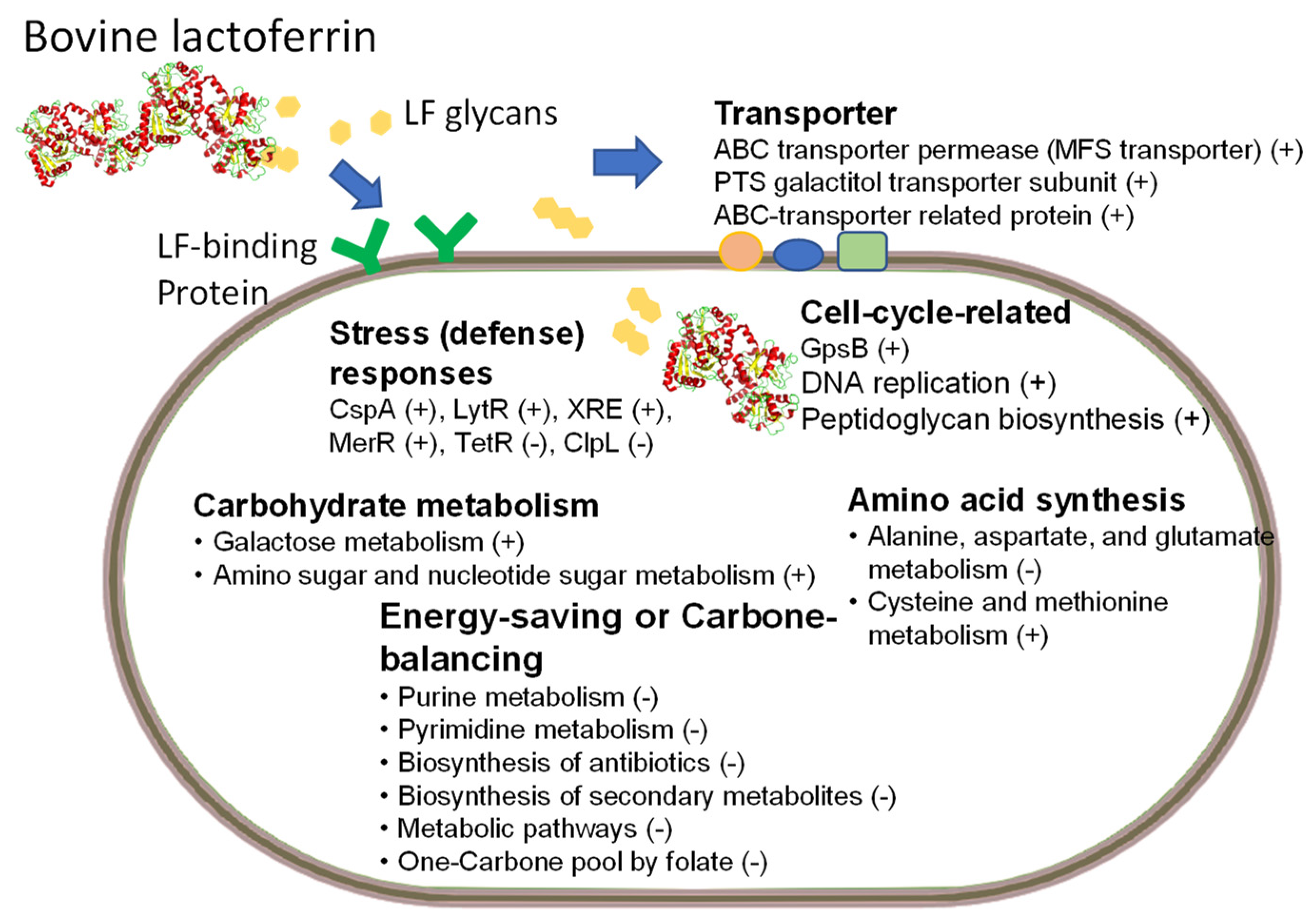 Nutrients 15 02759 g001 Nutrients 15 02759 g001