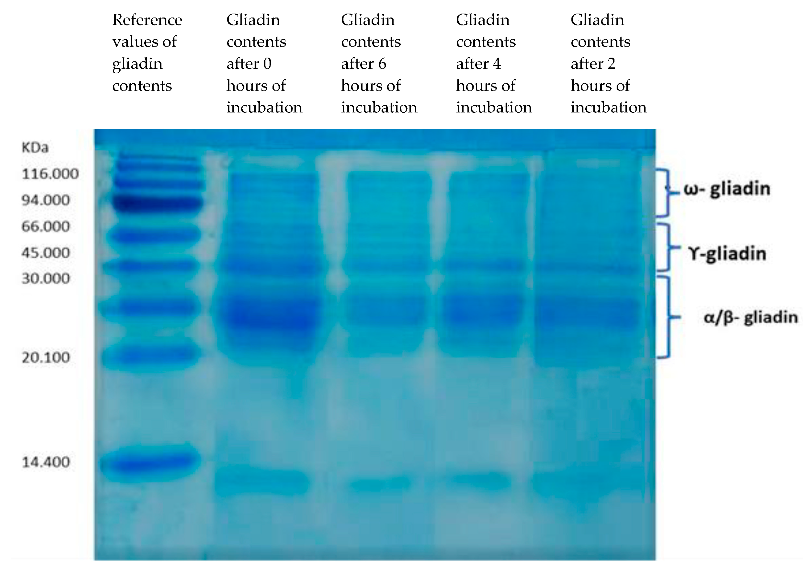 Nutrients 15 02769 g001 Nutrients 15 02769 g001