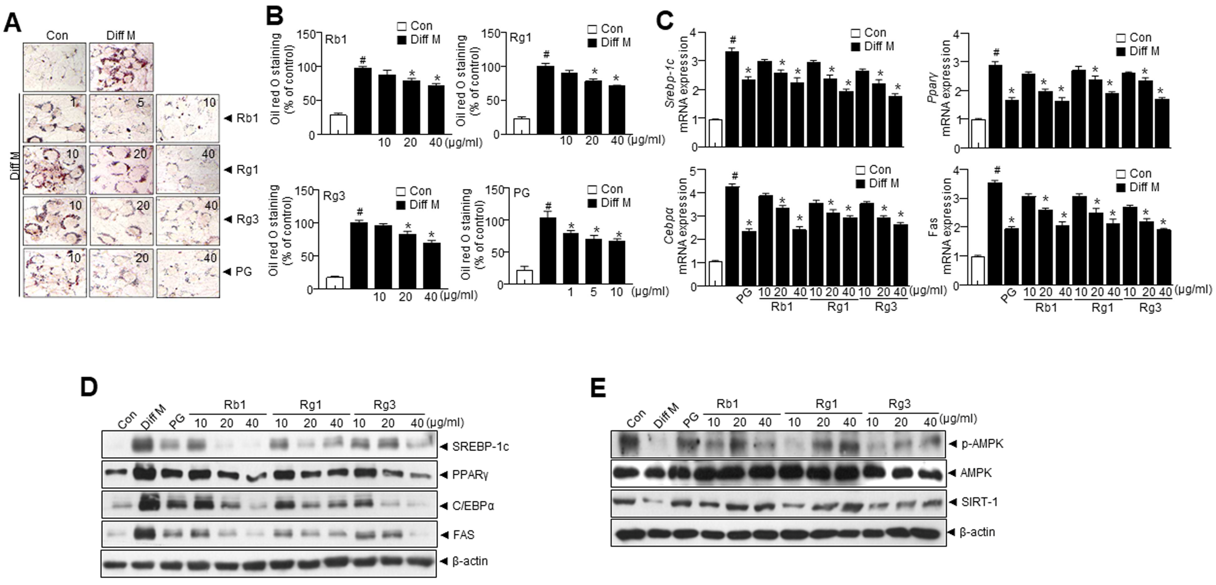 Nutrients 15 02776 g001 Nutrients 15 02776 g001