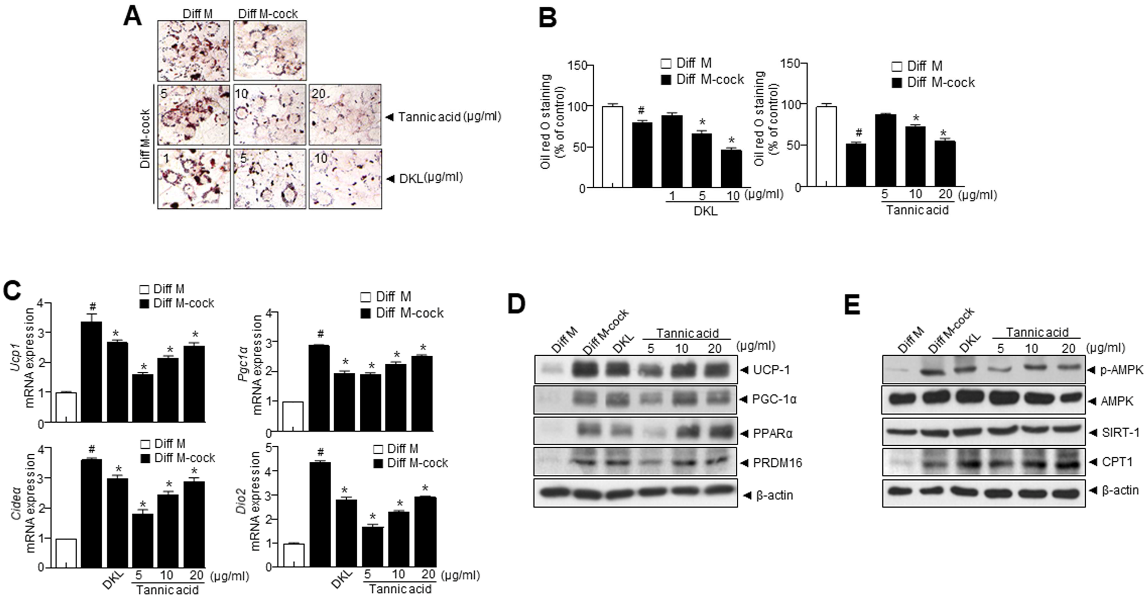 Nutrients 15 02776 g002 Nutrients 15 02776 g002