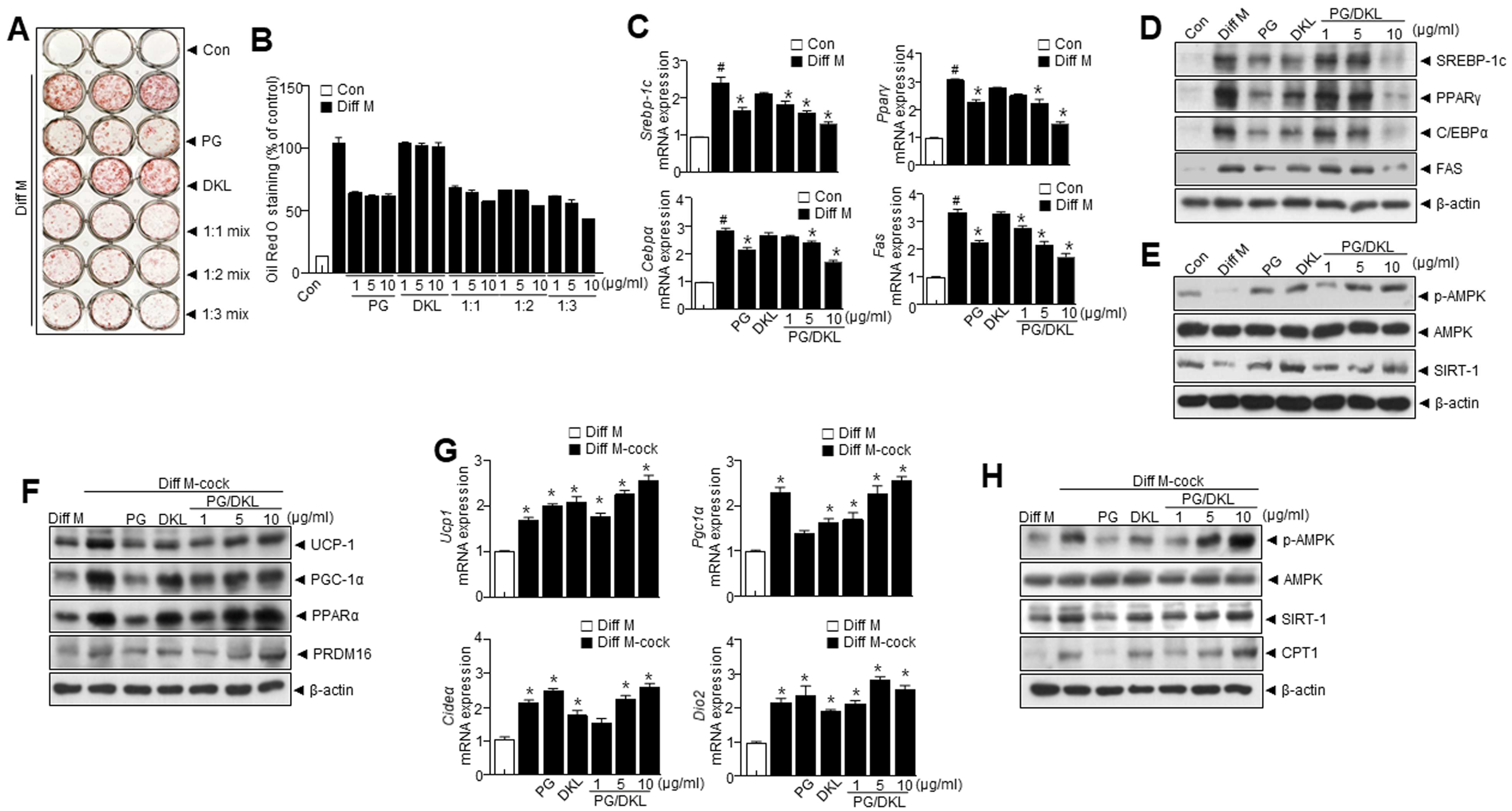 Nutrients 15 02776 g003 Nutrients 15 02776 g003