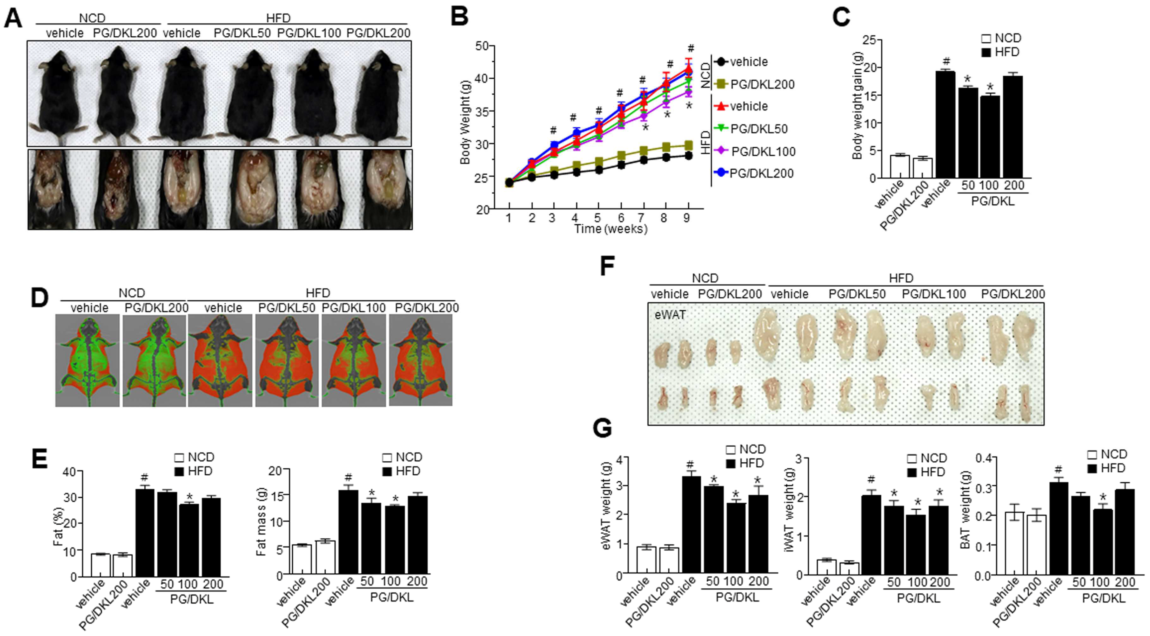 Nutrients 15 02776 g004 Nutrients 15 02776 g004