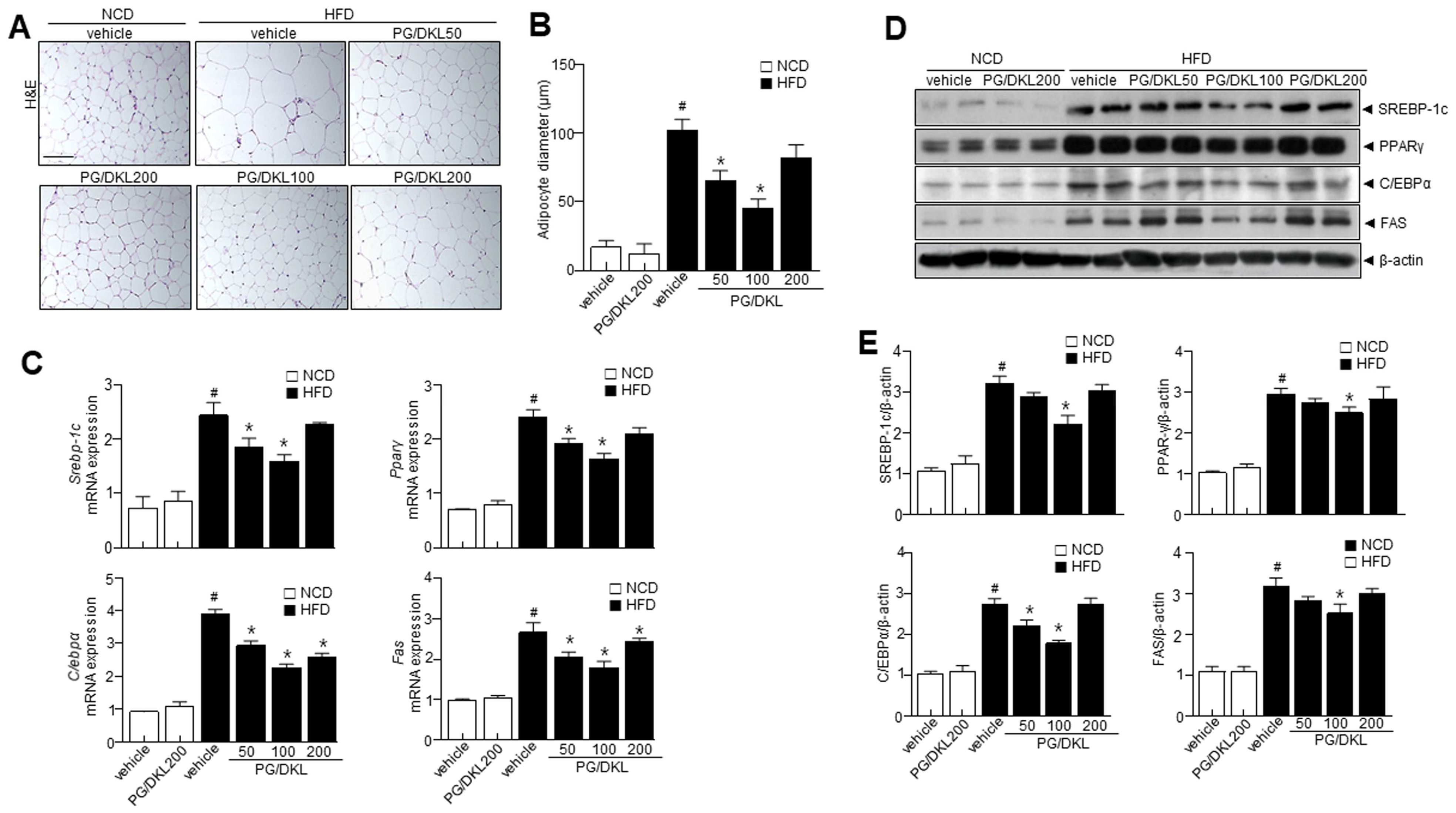 Nutrients 15 02776 g005 Nutrients 15 02776 g005