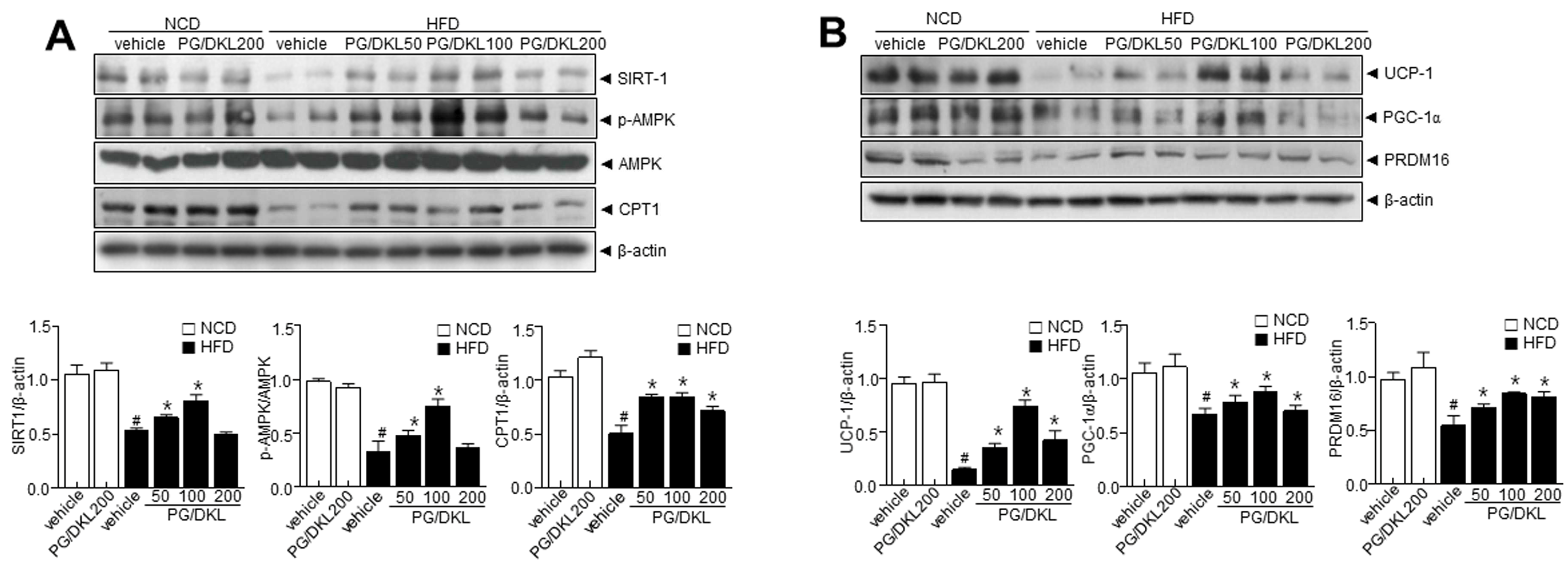 Nutrients 15 02776 g006 Nutrients 15 02776 g006