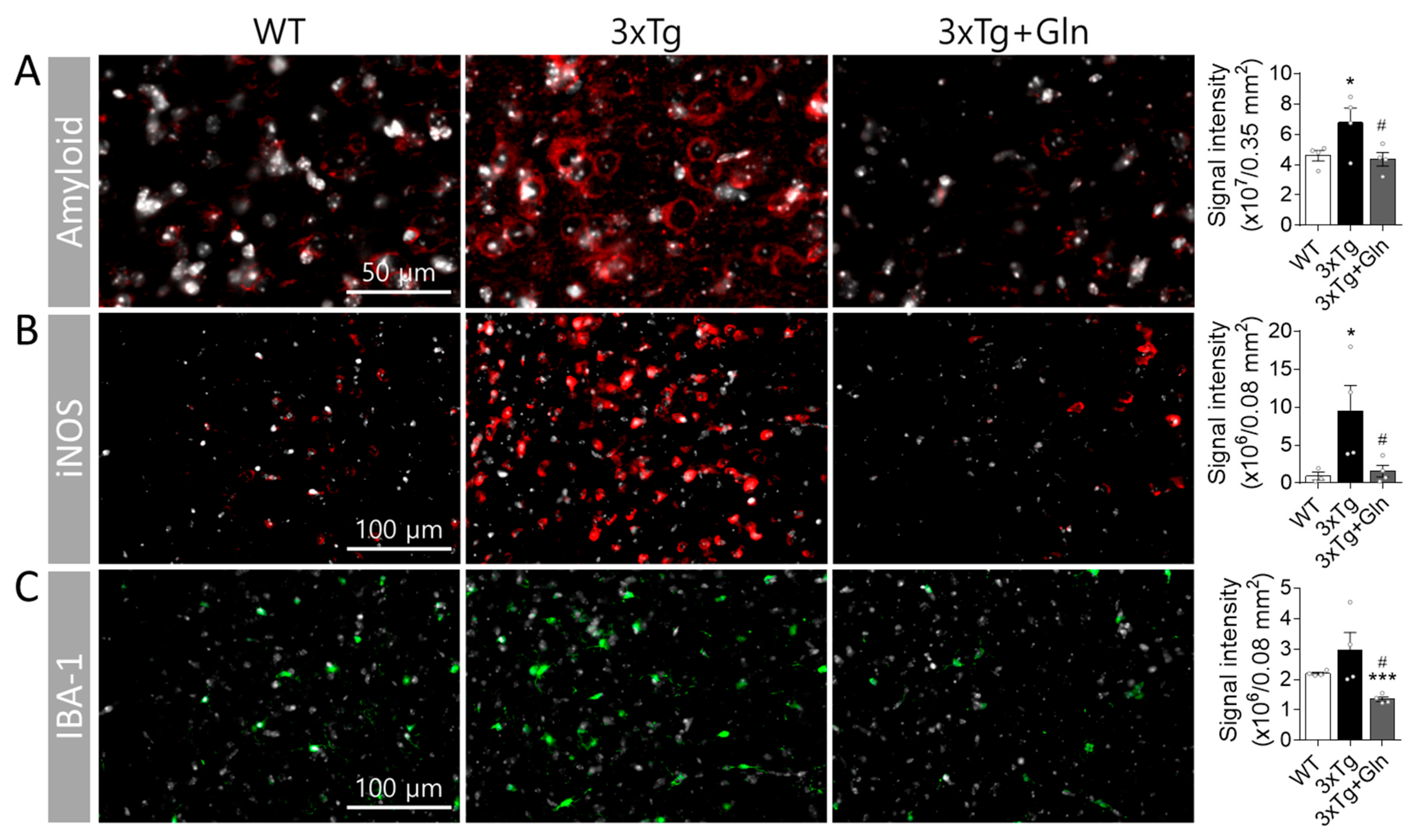 Nutrients 15 02794 g003 Nutrients 15 02794 g003