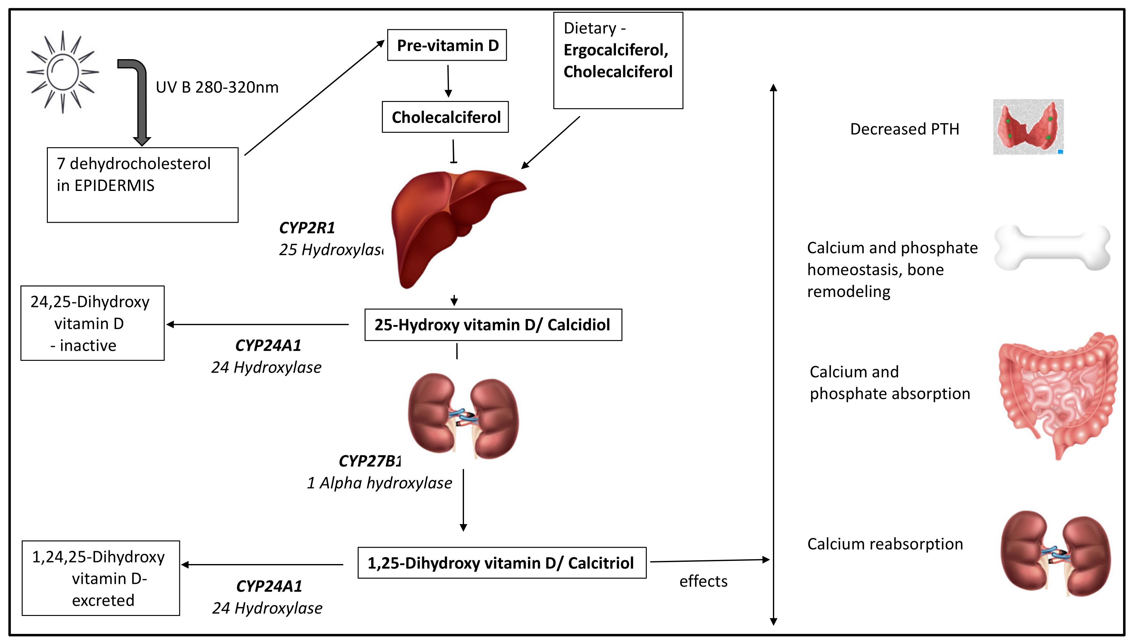 nutrients-free-full-text-vitamin-d-deficiency-in-chronic-childhood