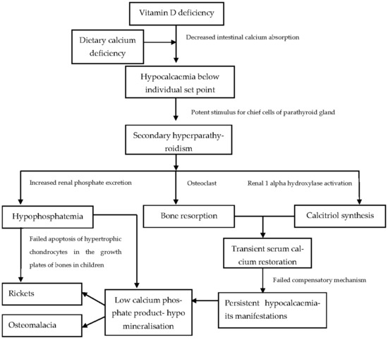 Vitamin D Toxicity - Symptoms, Diagnosis, Treatment : Dr. Zaidi