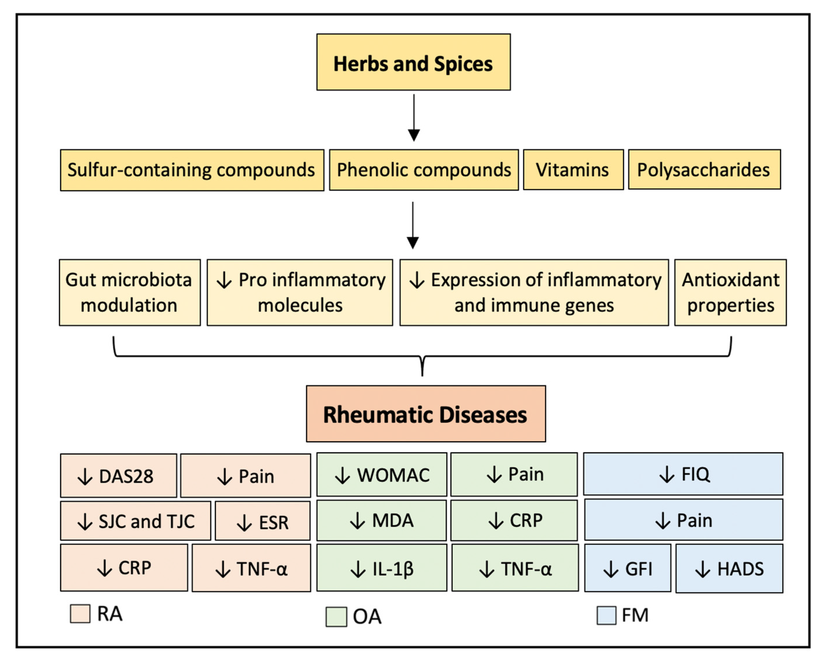 Nutrients 15 02812 g002 Nutrients 15 02812 g002