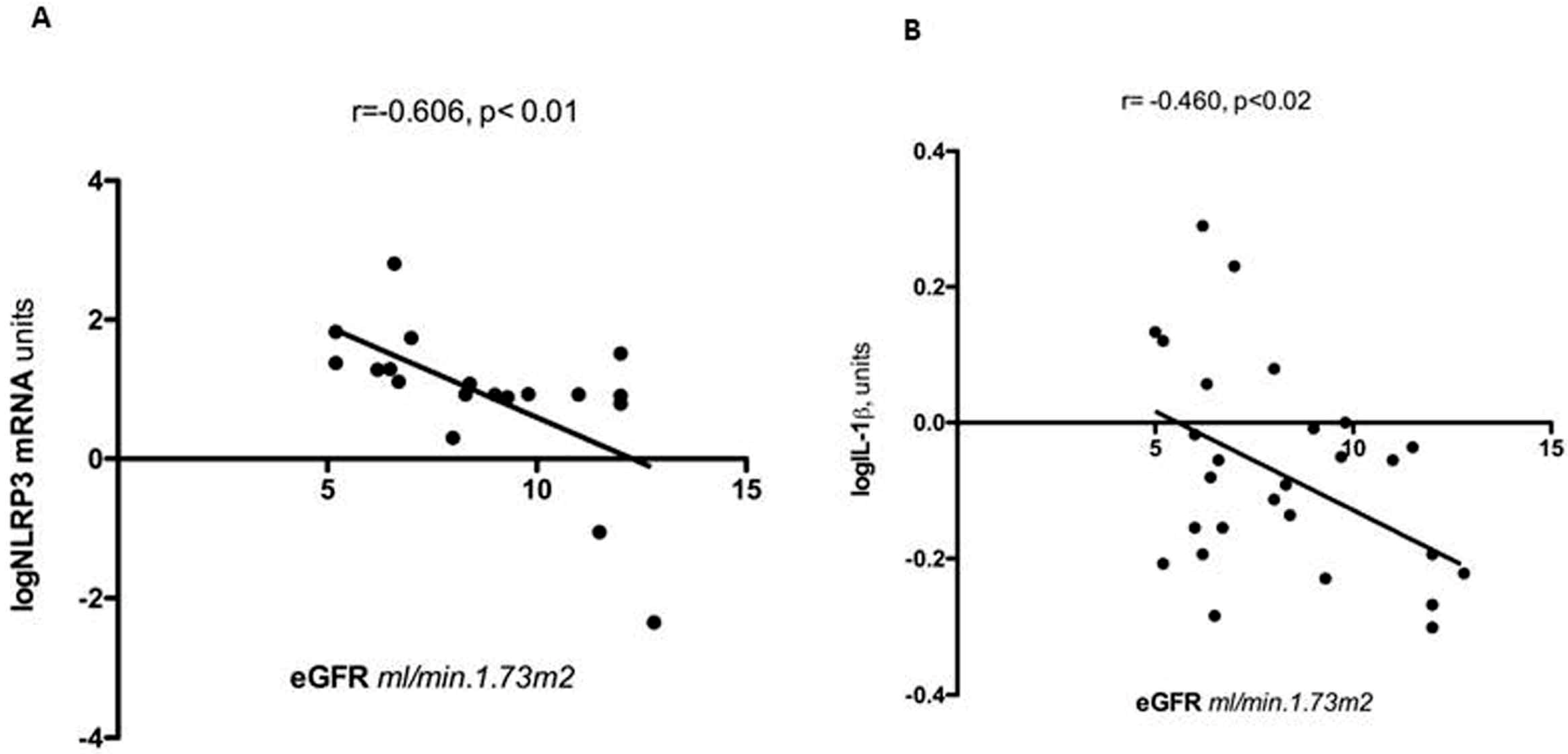 Nutrients 15 02832 g003 Nutrients 15 02832 g003