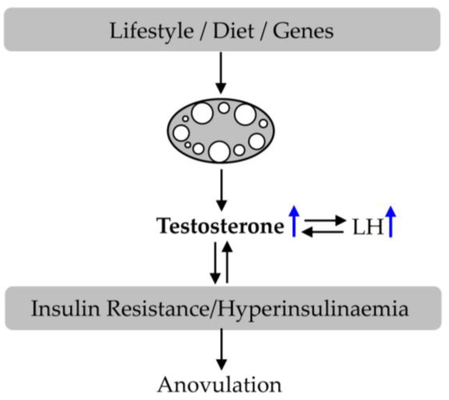 Nutrients 15 02833 g002 Nutrients 15 02833 g002