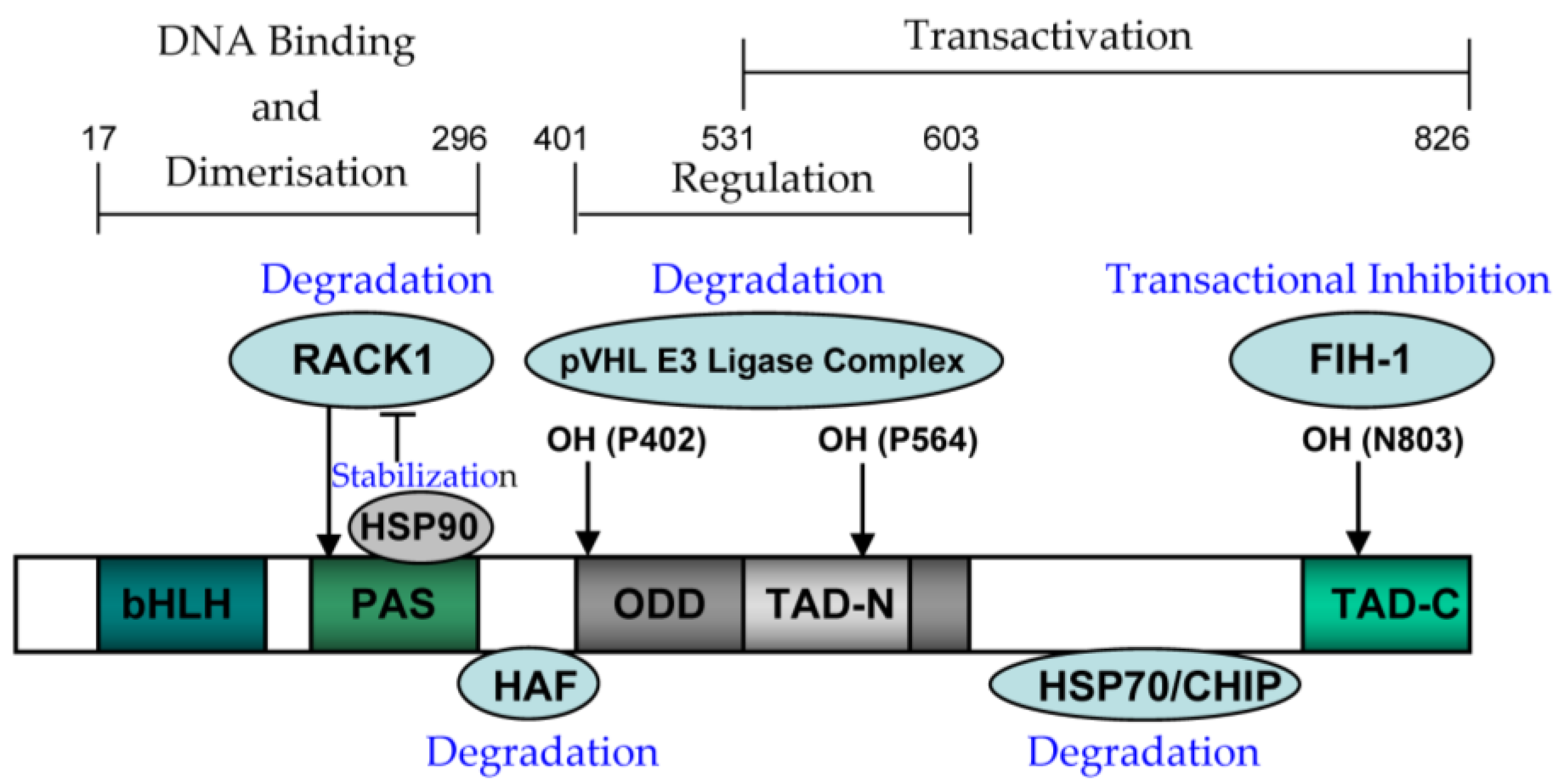 Nutrients 15 02833 g003 Nutrients 15 02833 g003