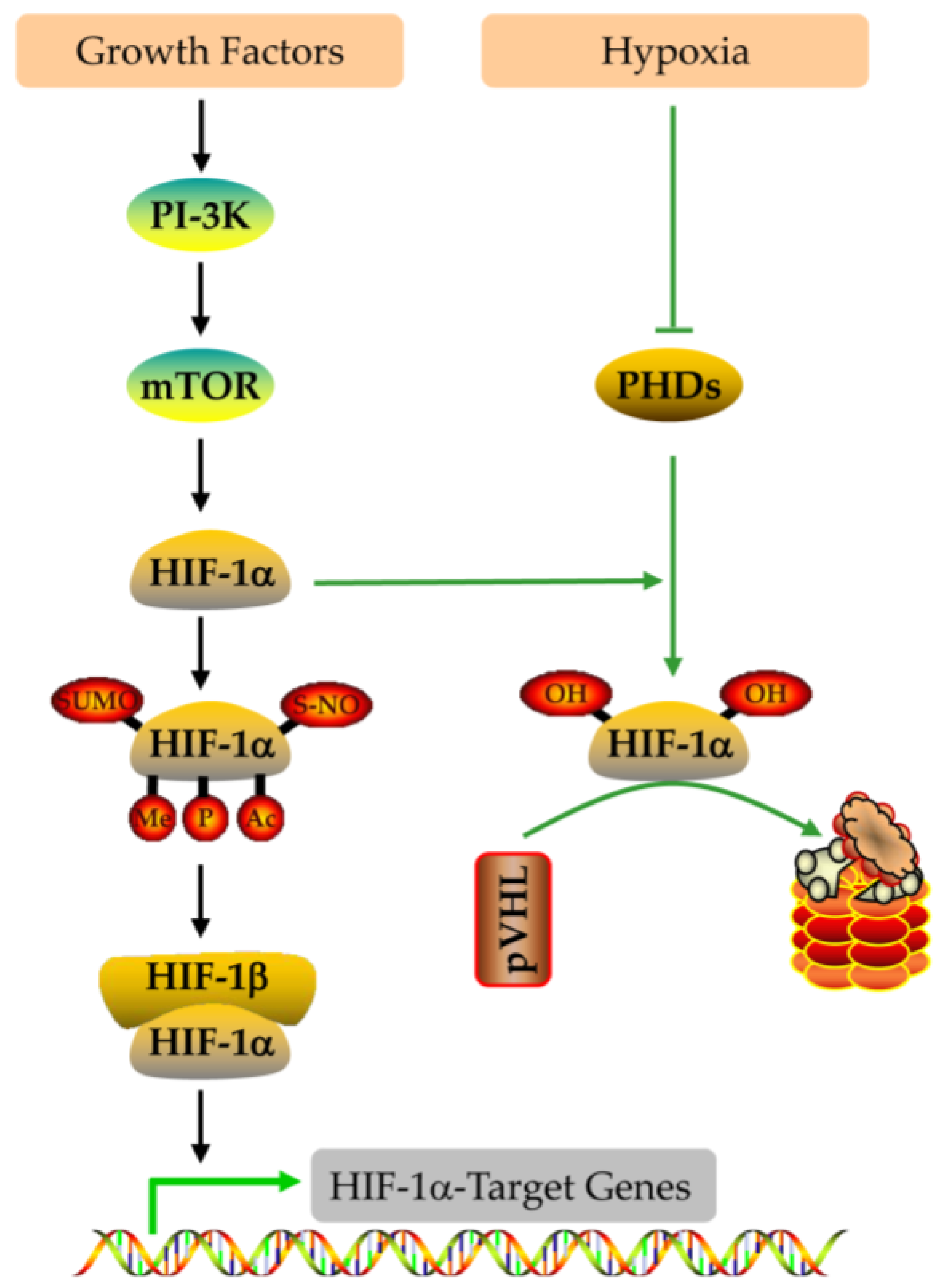 Nutrients 15 02833 g005 Nutrients 15 02833 g005