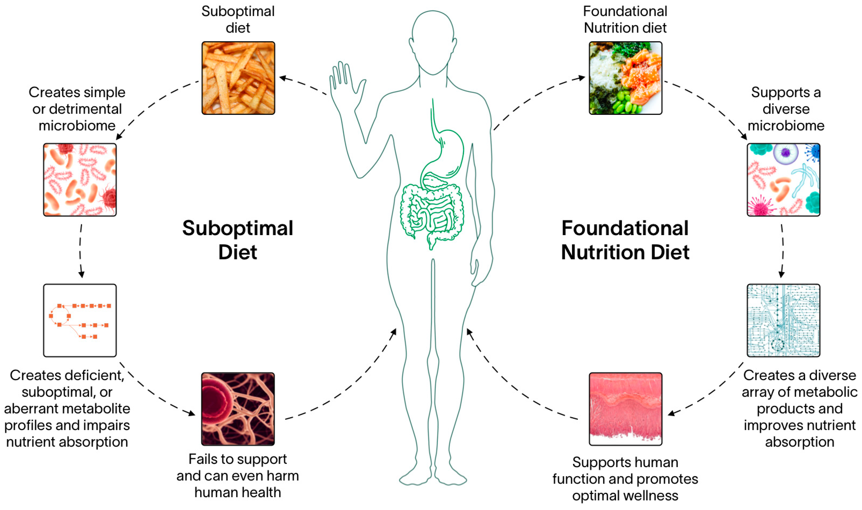 Nutrients 15 02837 g002 Nutrients 15 02837 g002