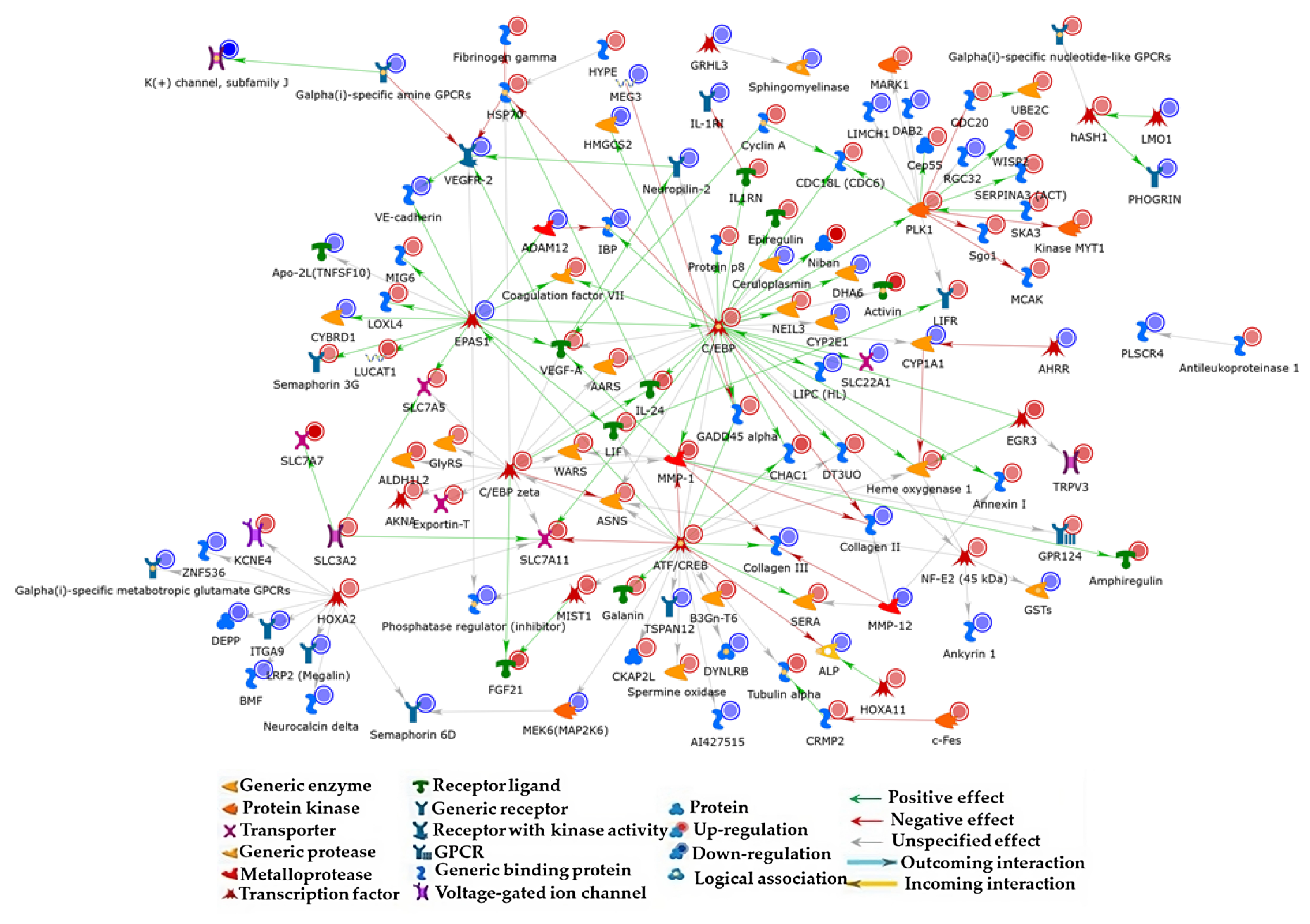 Nutrients 15 02839 g002