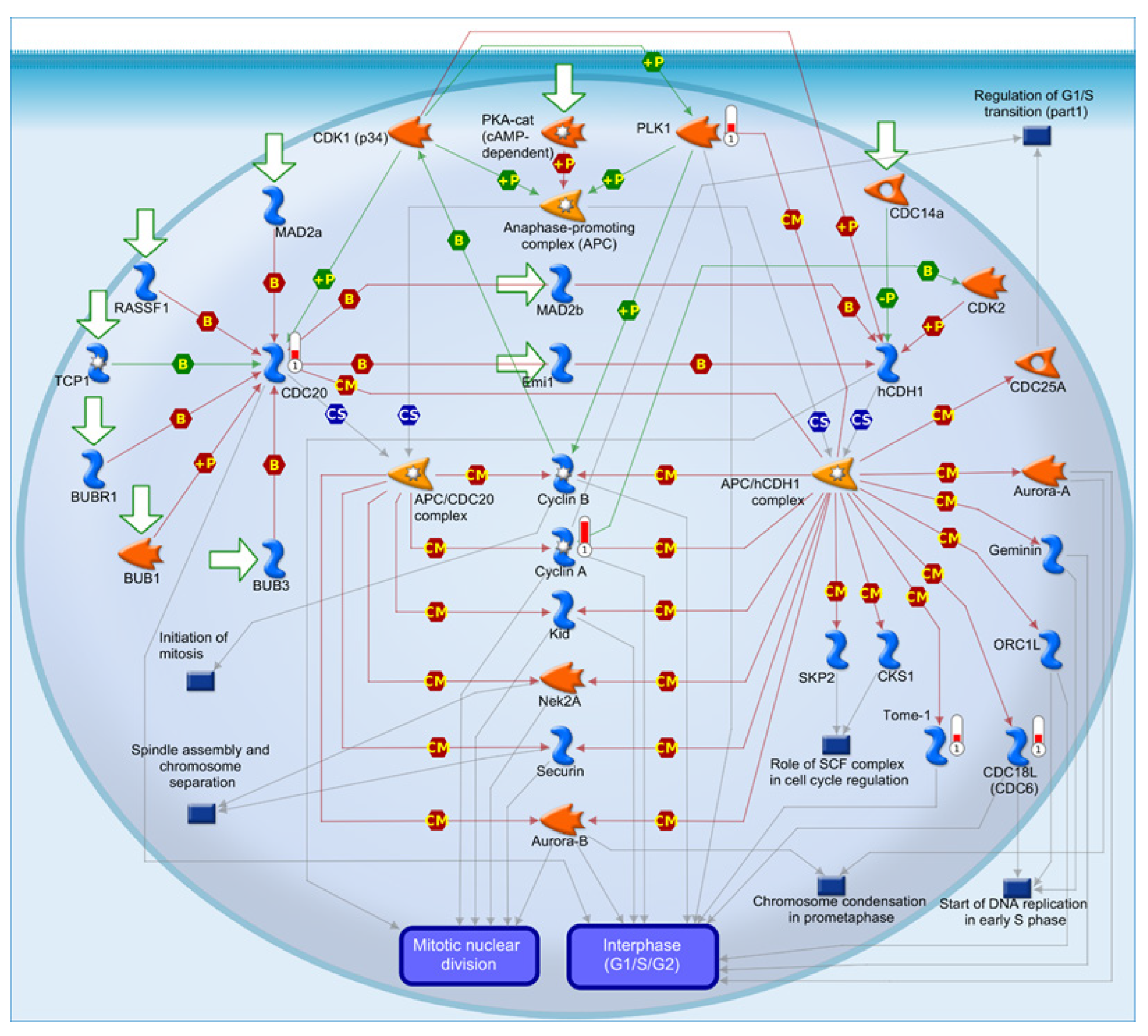 Nutrients 15 02839 g008