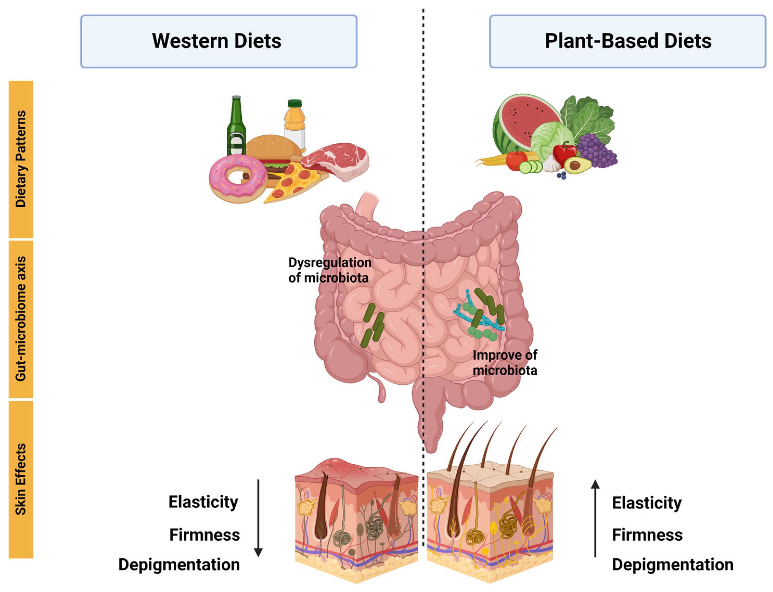 Nutrients Free Full Text Beneficial Effects of Plant Based Diets on