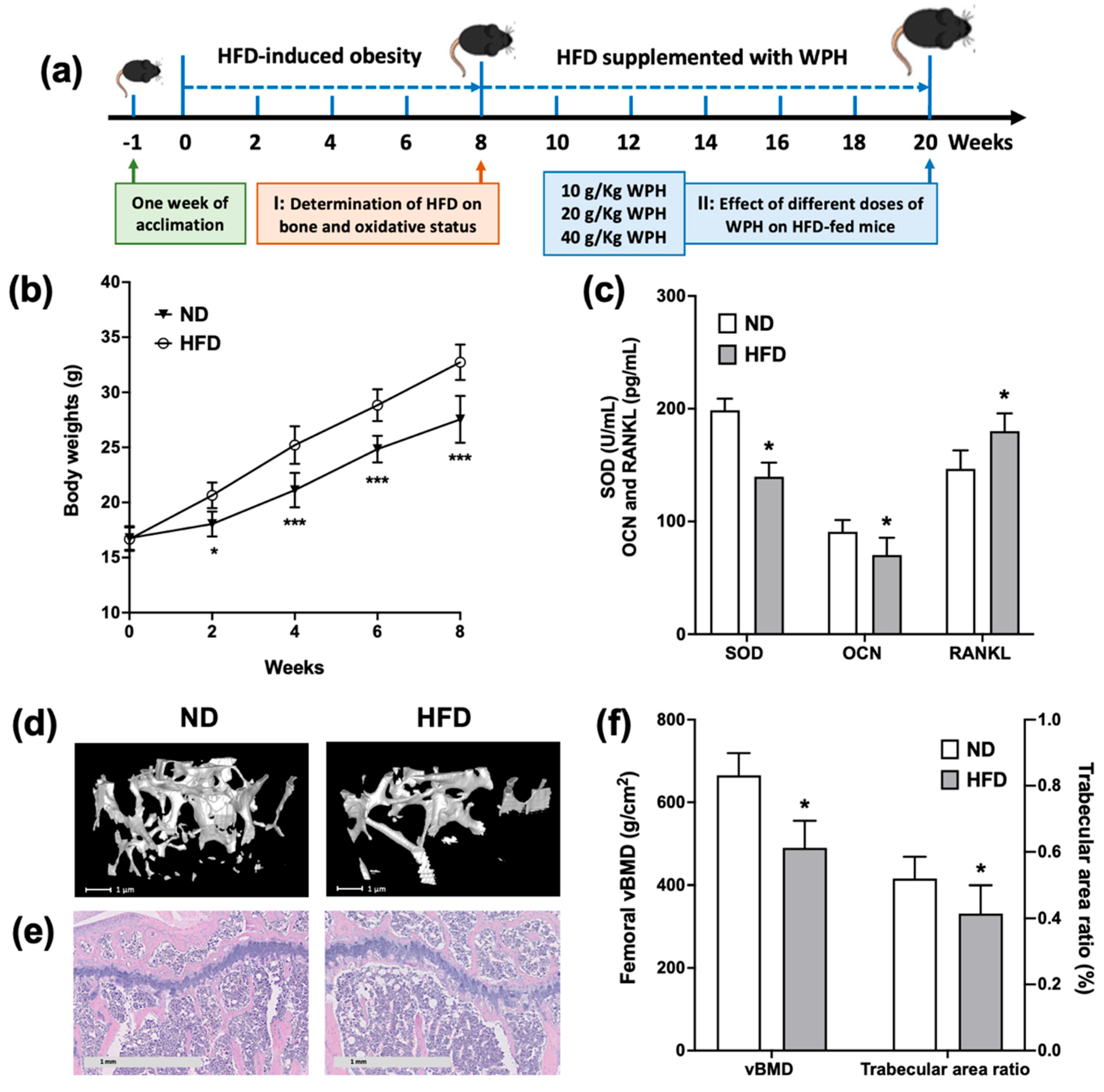 Nutrients 15 02863 g002 Nutrients 15 02863 g002