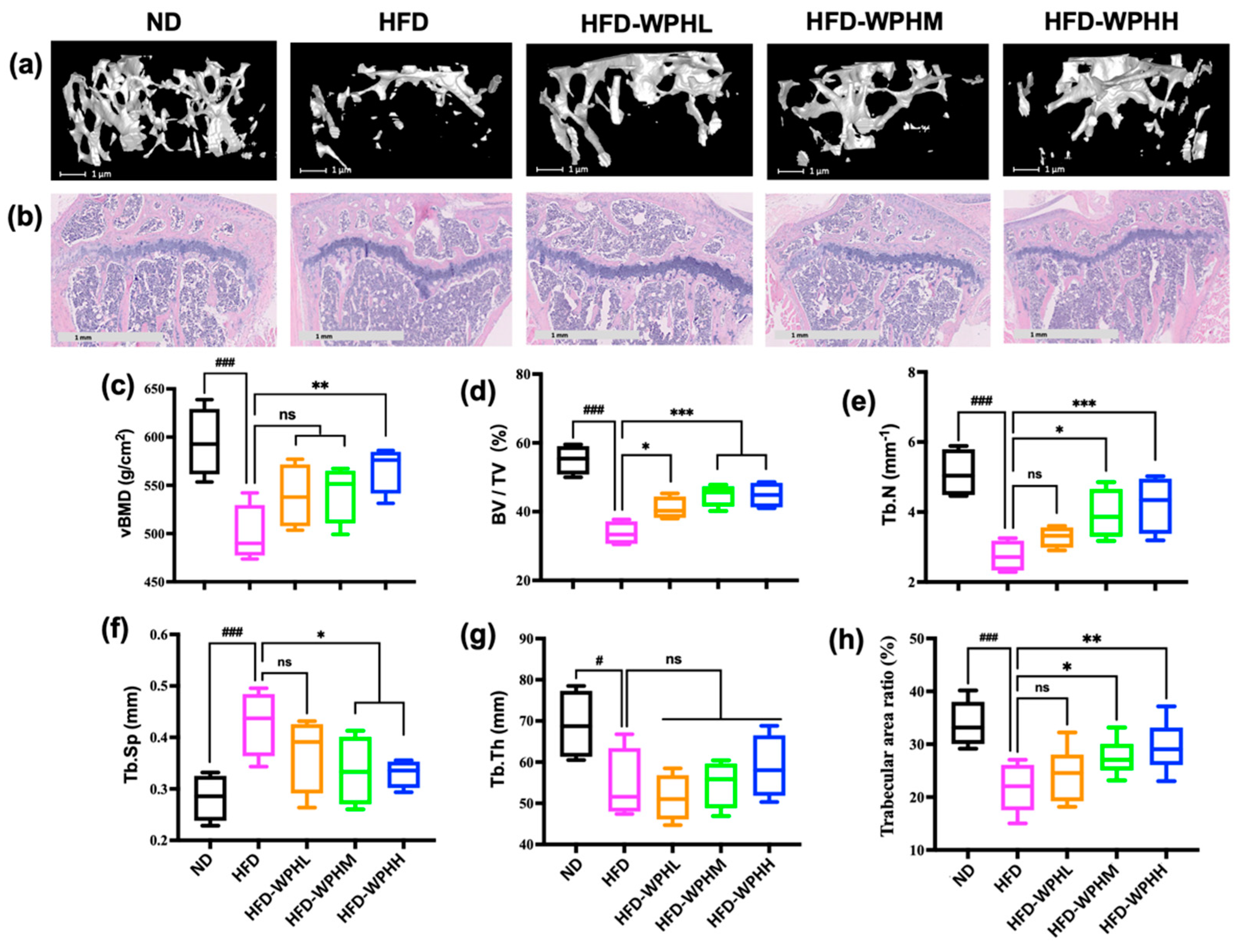 Nutrients 15 02863 g003 Nutrients 15 02863 g003