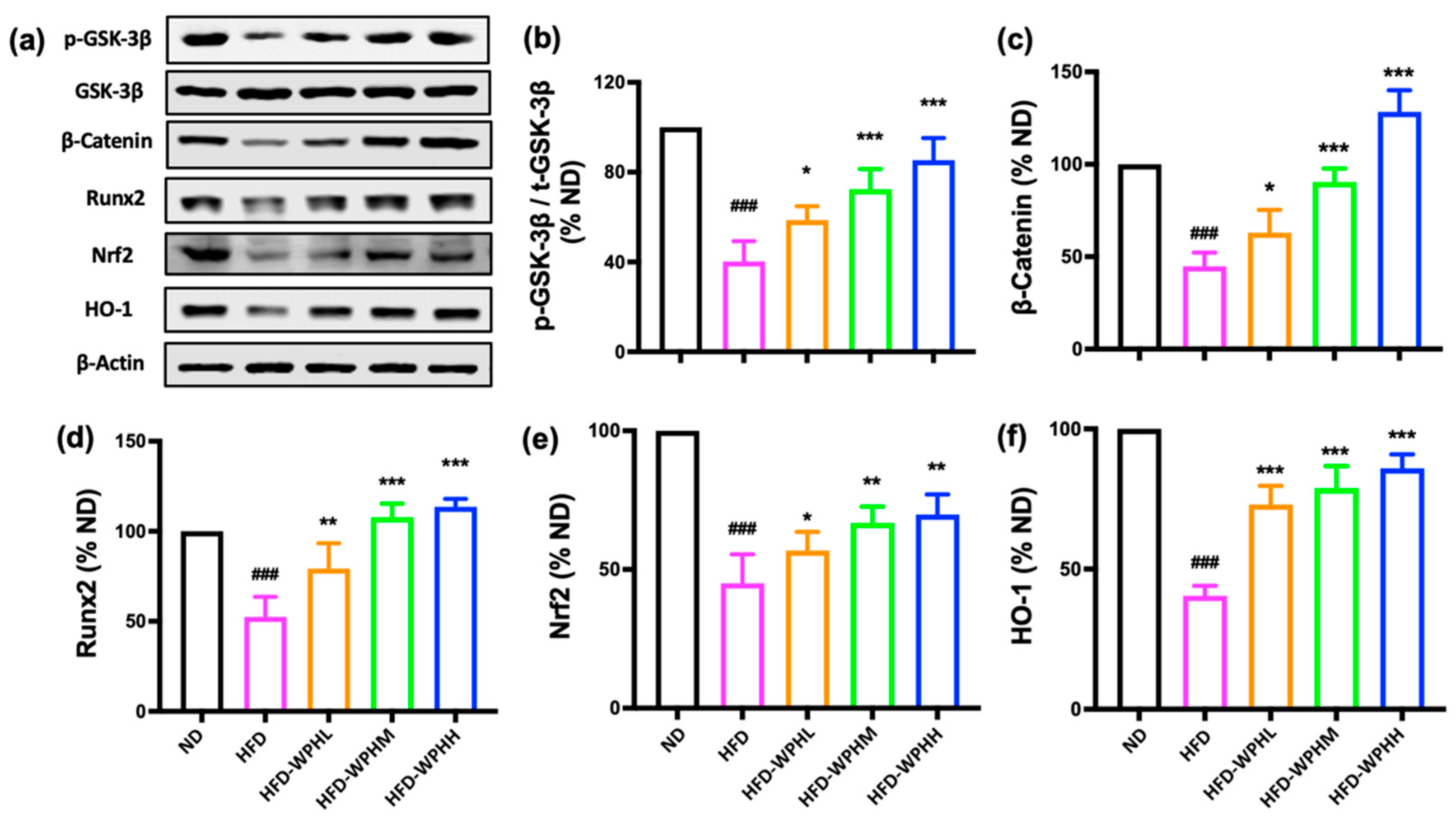 Nutrients 15 02863 g005 Nutrients 15 02863 g005