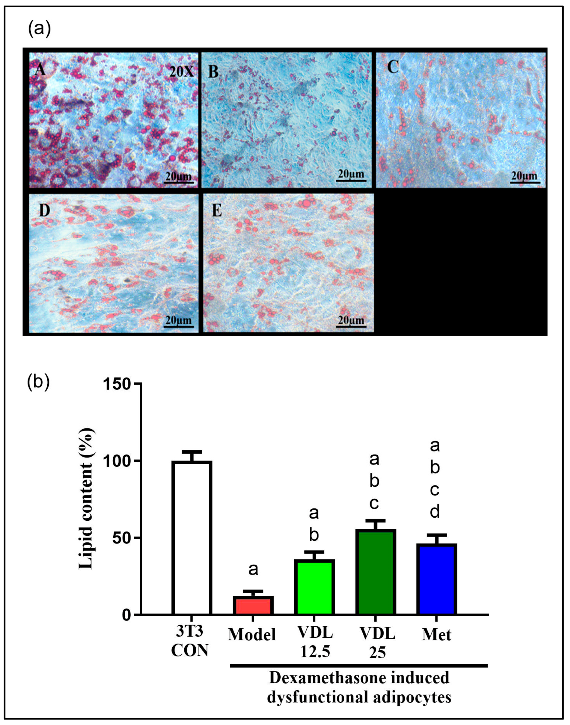 Nutrients 15 02865 g004 Nutrients 15 02865 g004