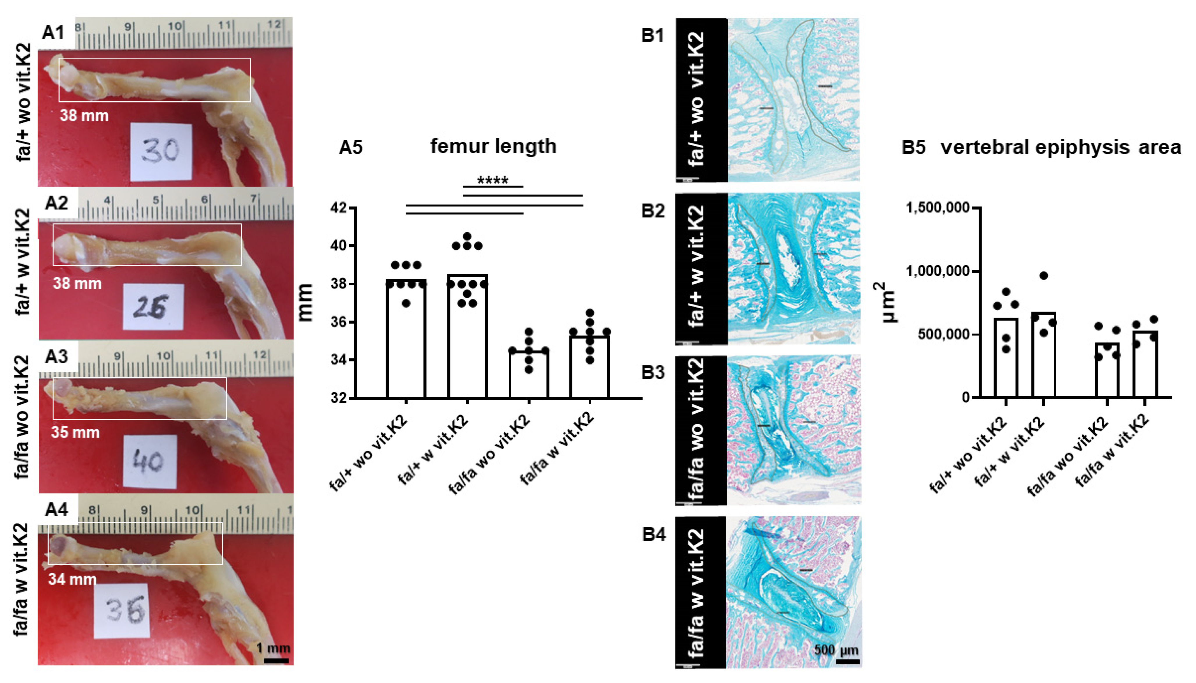 Nutrients 15 02872 g001 Nutrients 15 02872 g001