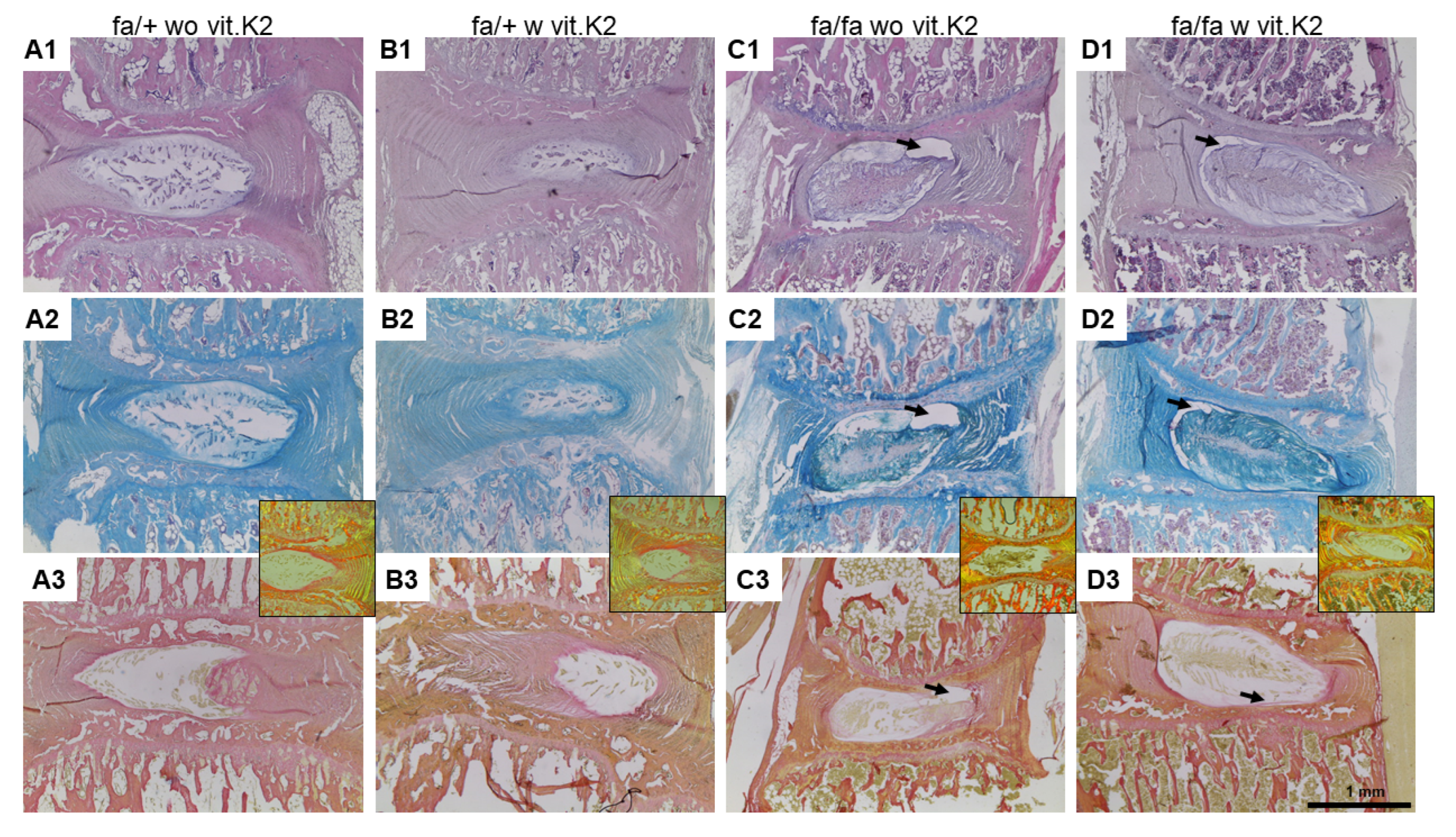 Nutrients 15 02872 g002 Nutrients 15 02872 g002