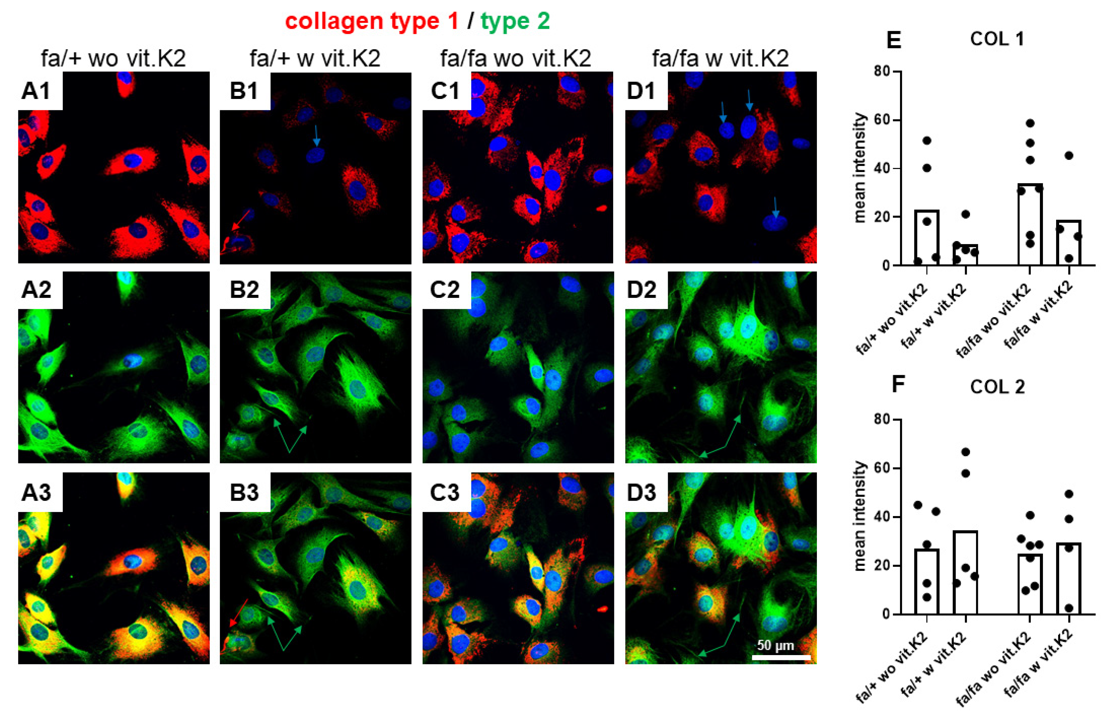 Nutrients 15 02872 g005 Nutrients 15 02872 g005