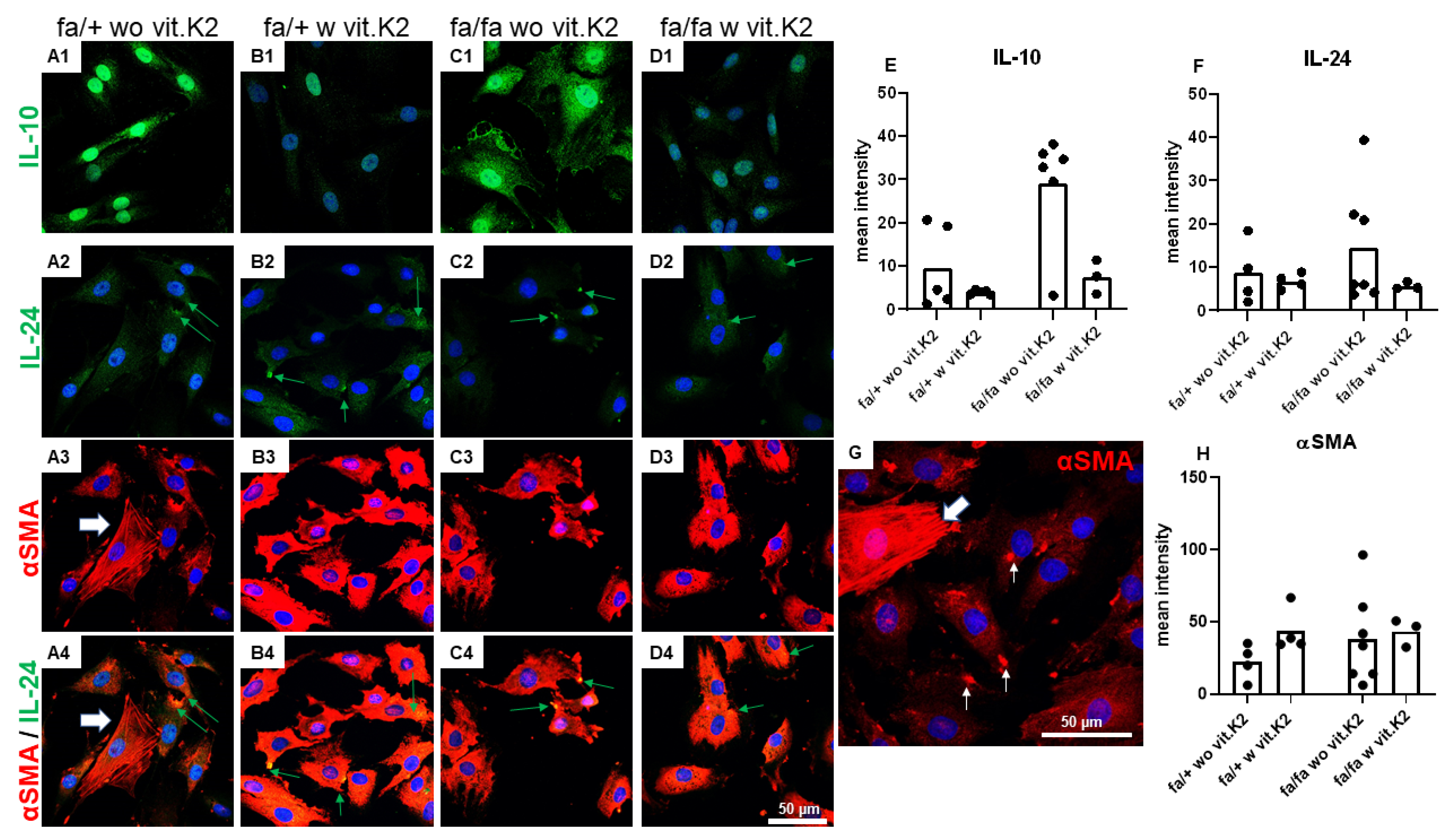 Nutrients 15 02872 g008 Nutrients 15 02872 g008