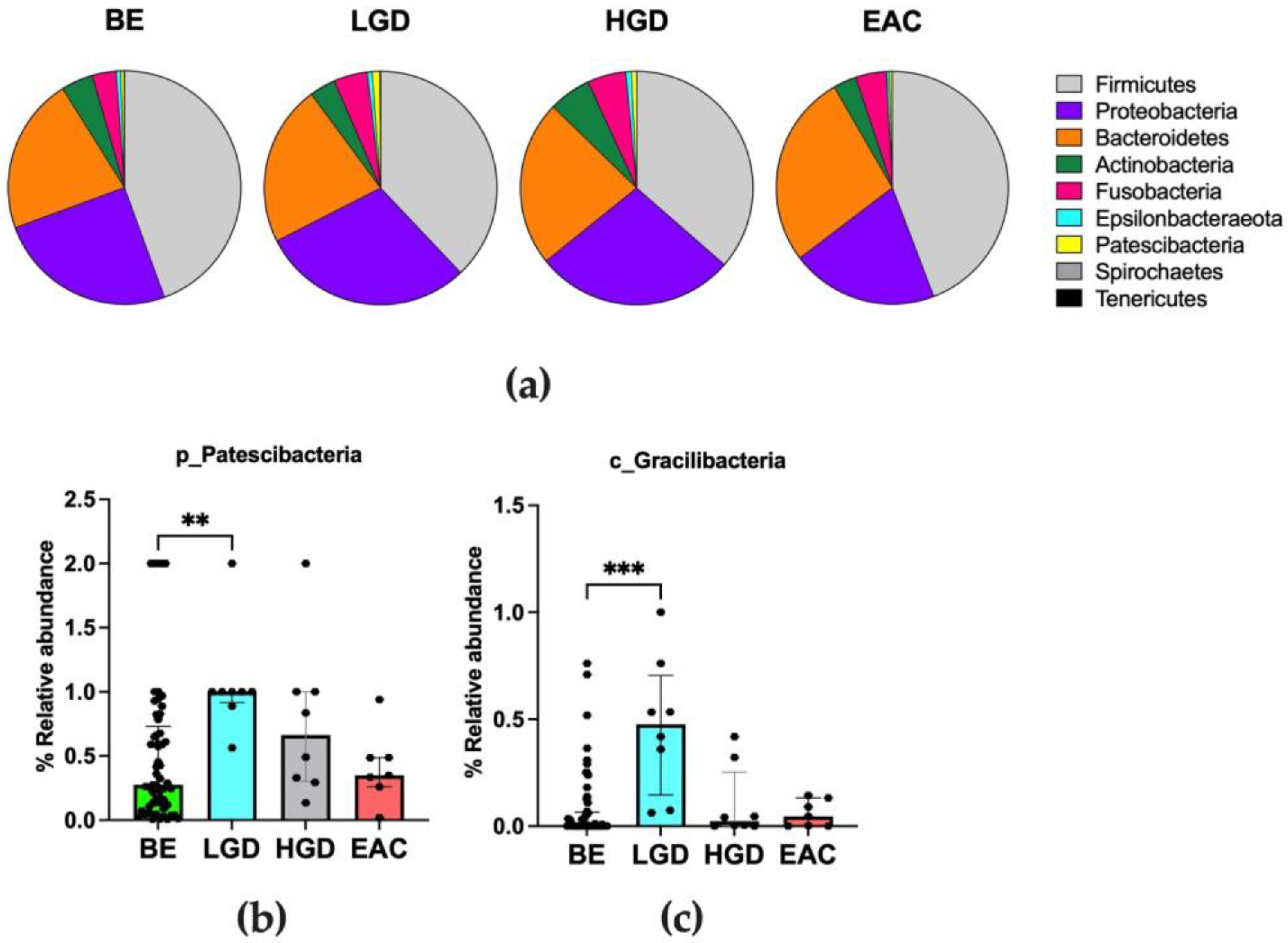 Nutrients 15 02885 g003 Nutrients 15 02885 g003