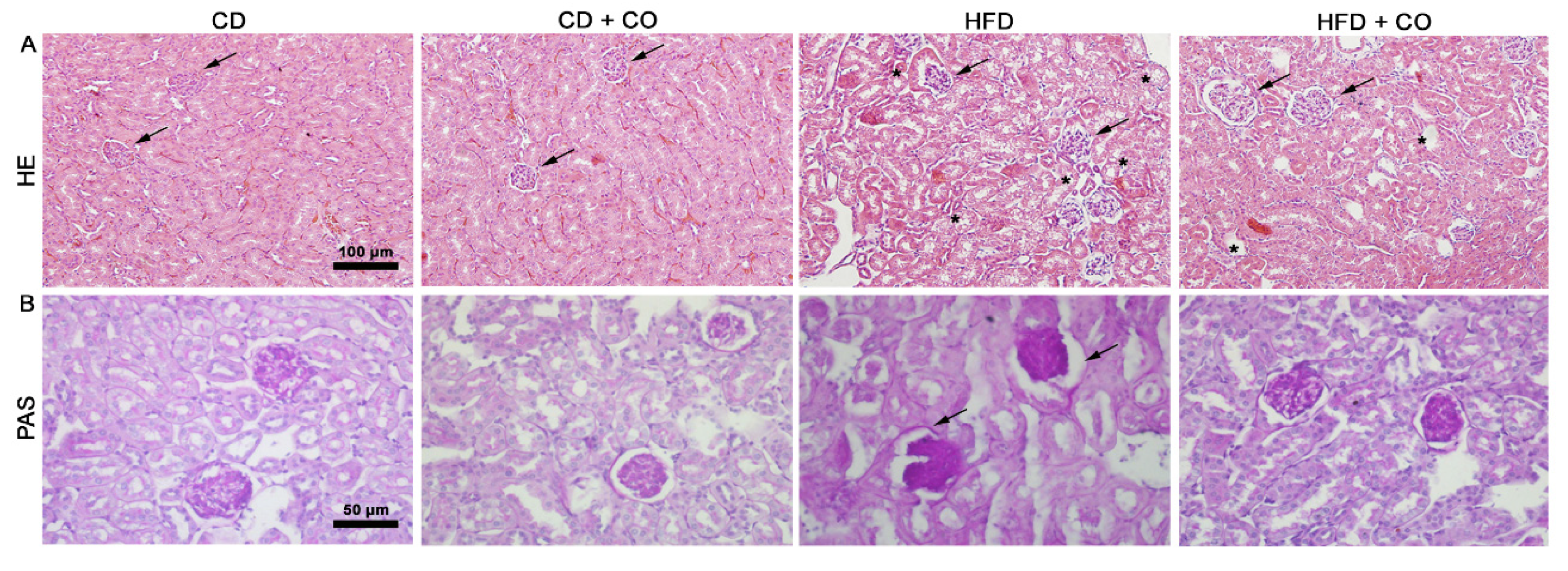 Nutrients 15 02925 g003 Nutrients 15 02925 g003