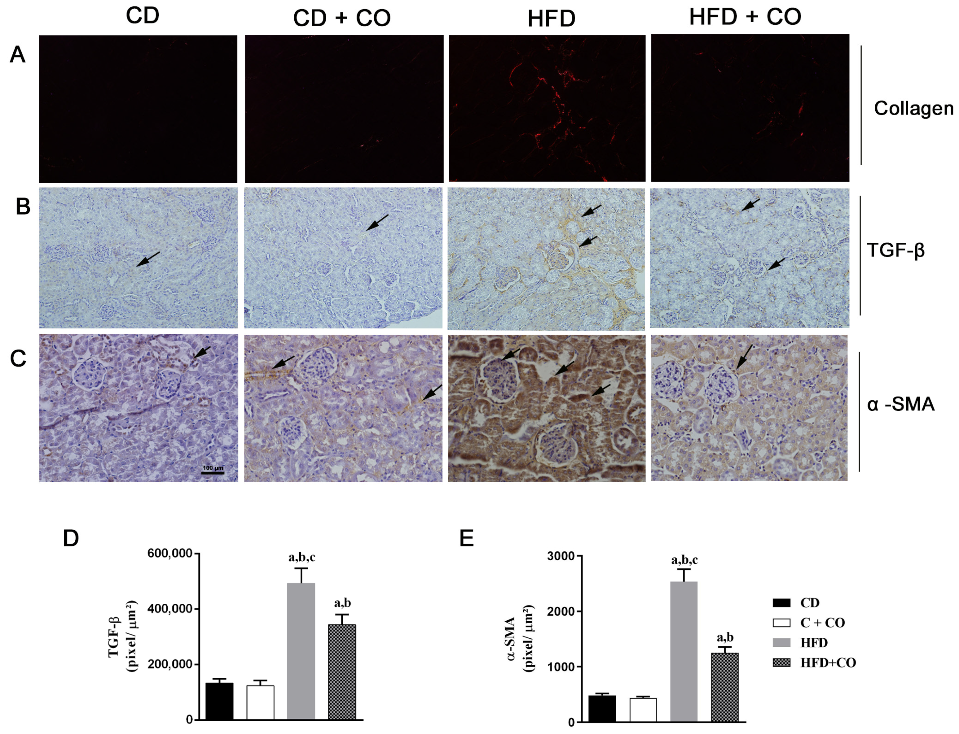 Nutrients 15 02925 g008 Nutrients 15 02925 g008
