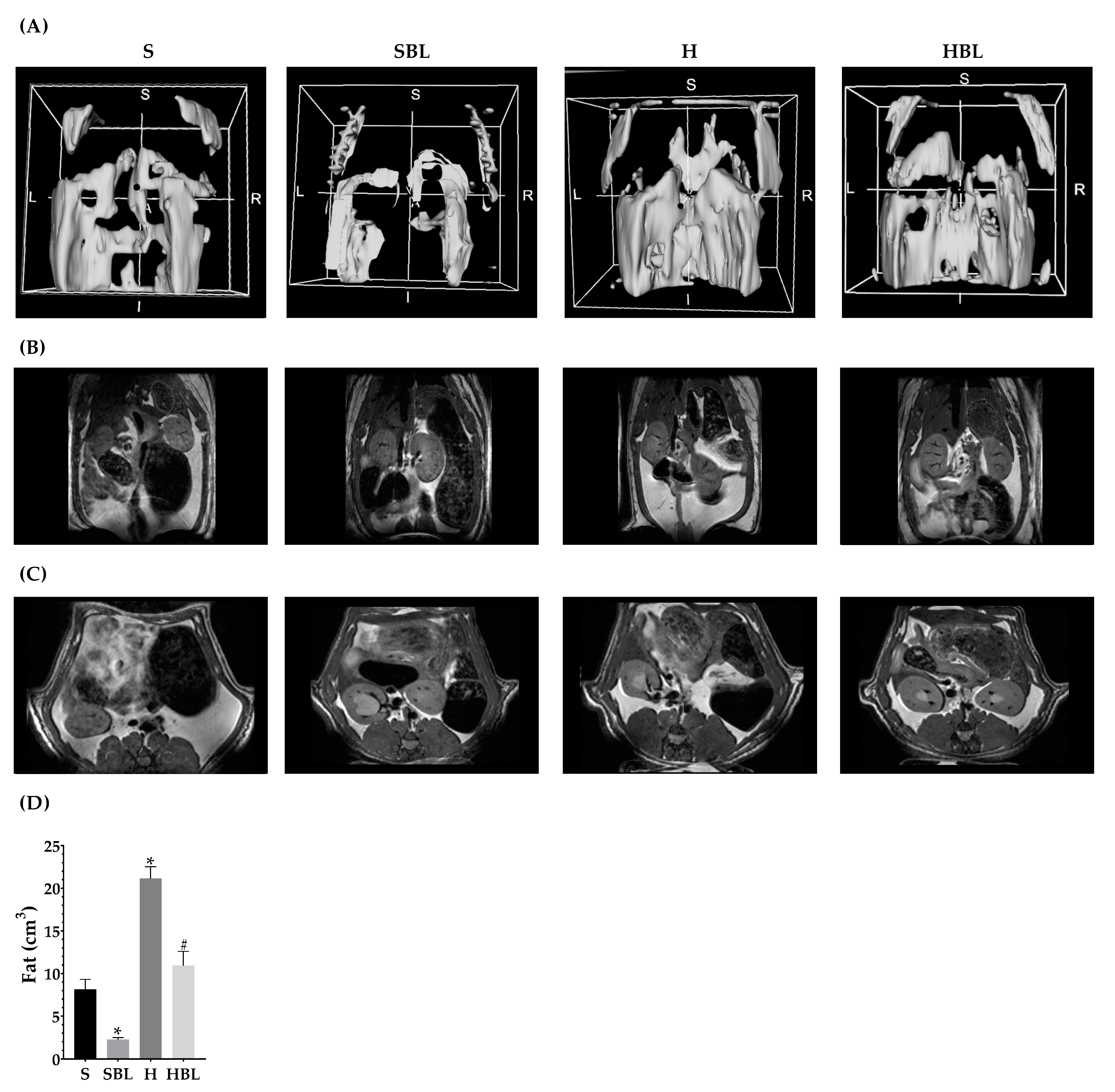 Nutrients 15 02928 g002 Nutrients 15 02928 g002