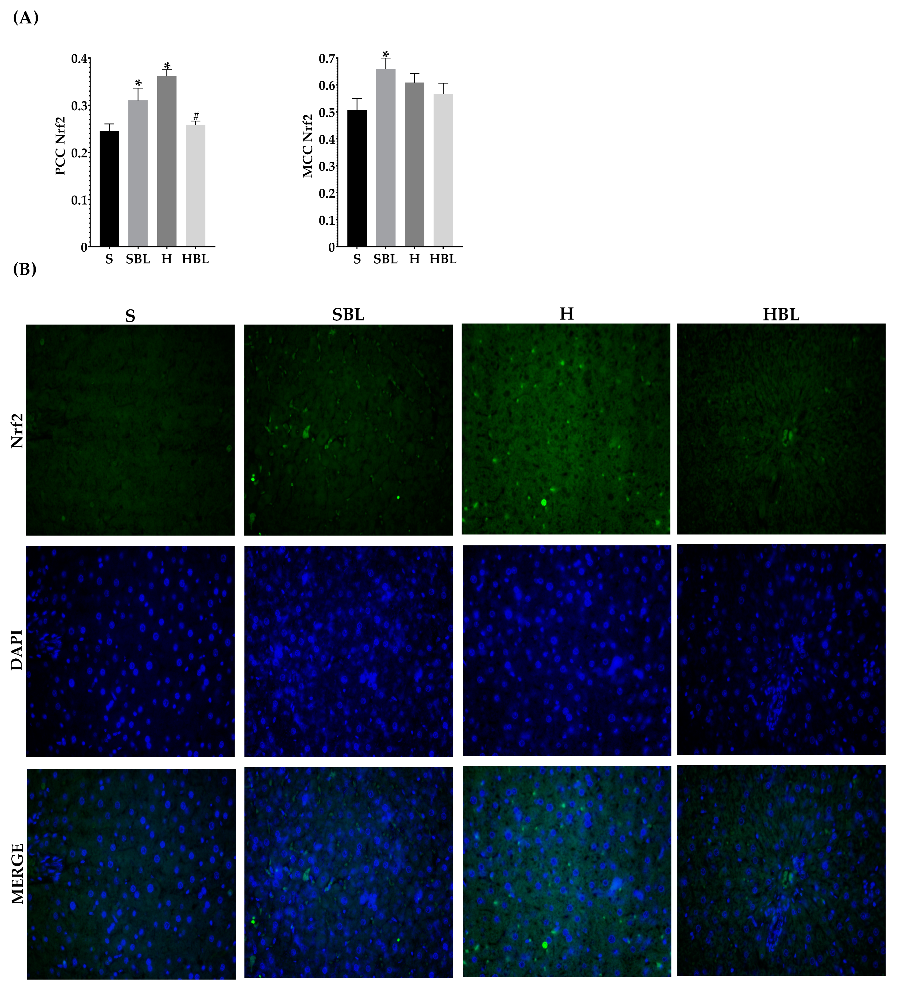 Nutrients 15 02928 g008 Nutrients 15 02928 g008
