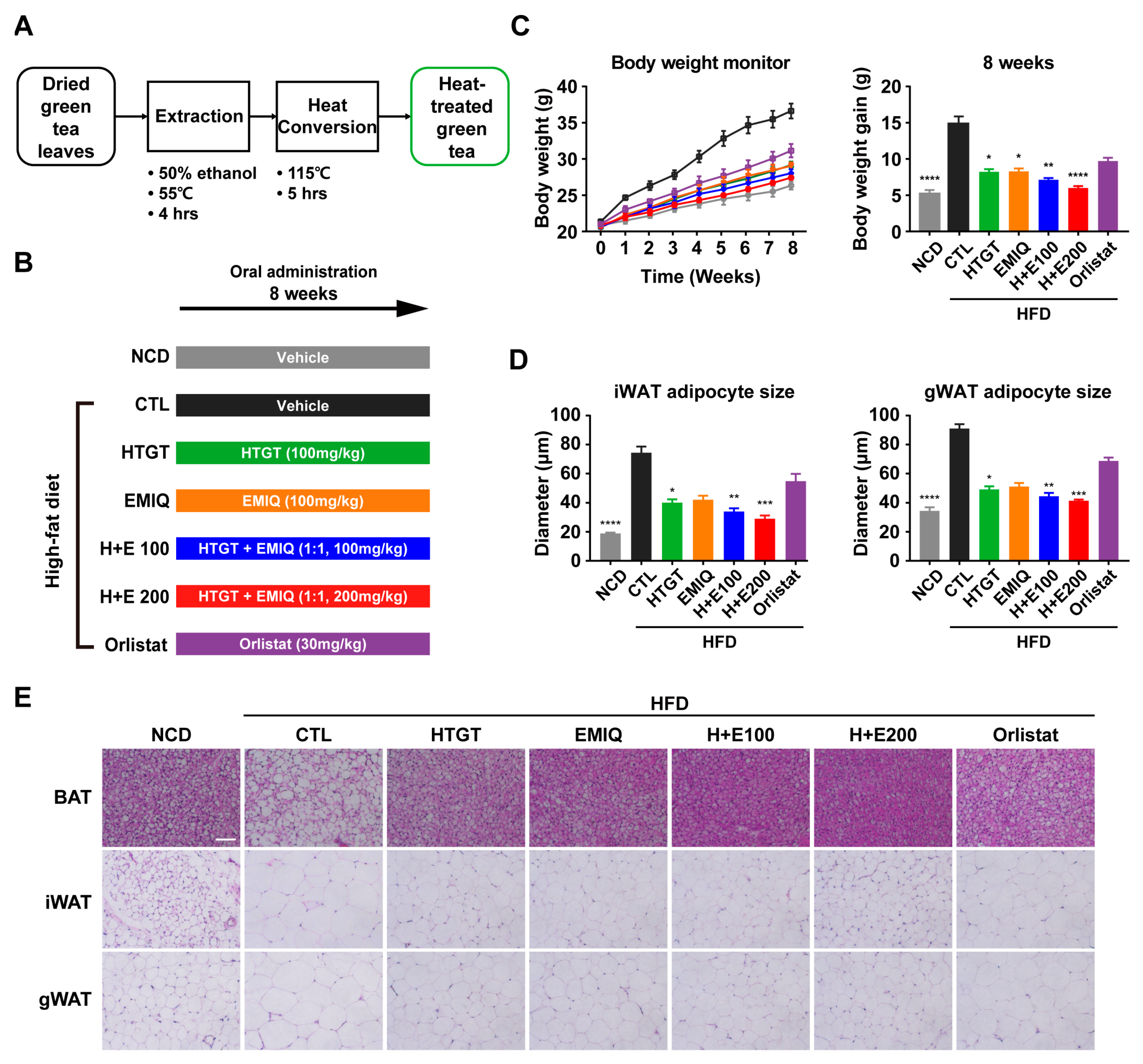 Nutrients 15 02931 g001 Nutrients 15 02931 g001