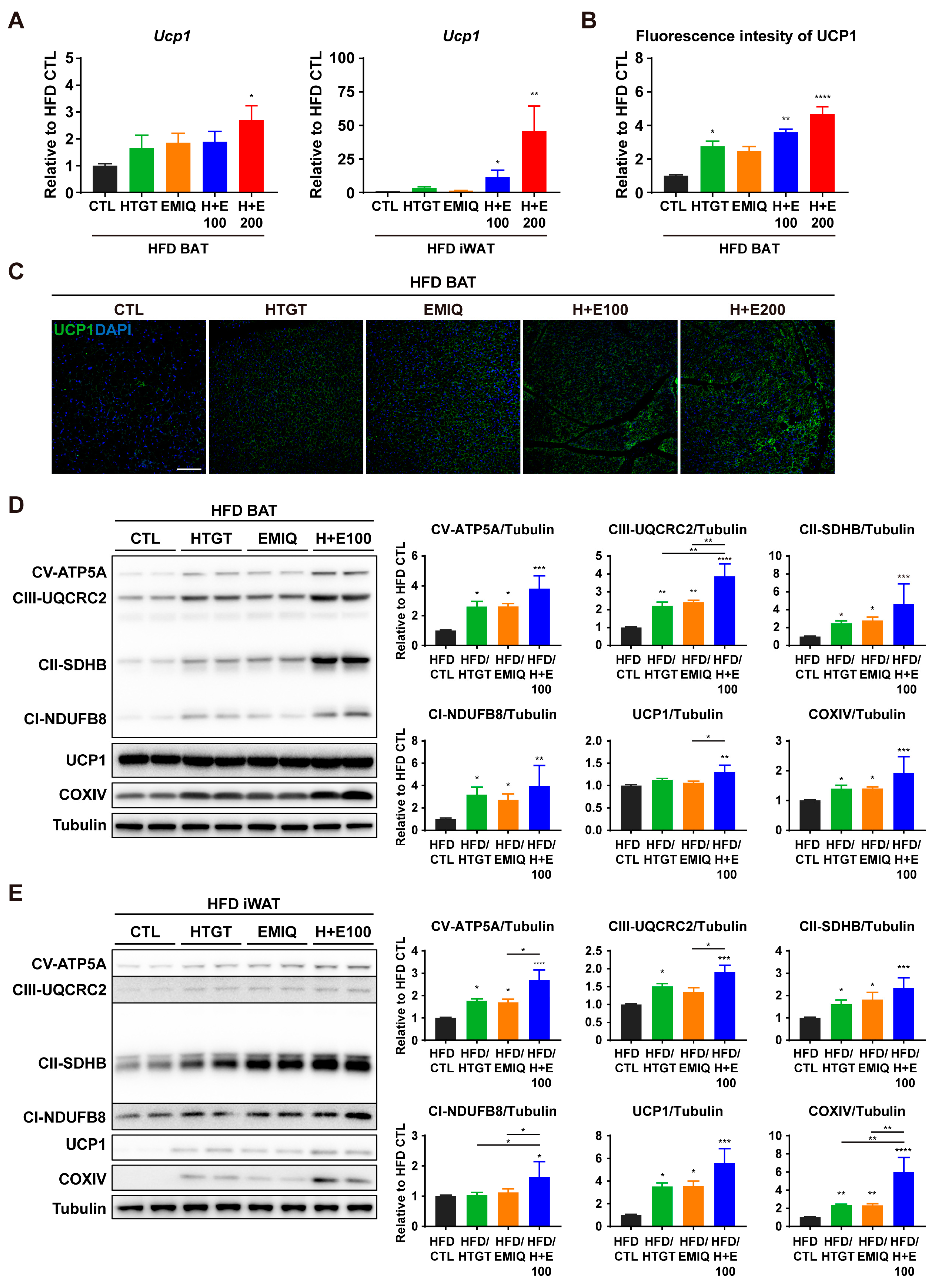 Nutrients 15 02931 g004 Nutrients 15 02931 g004