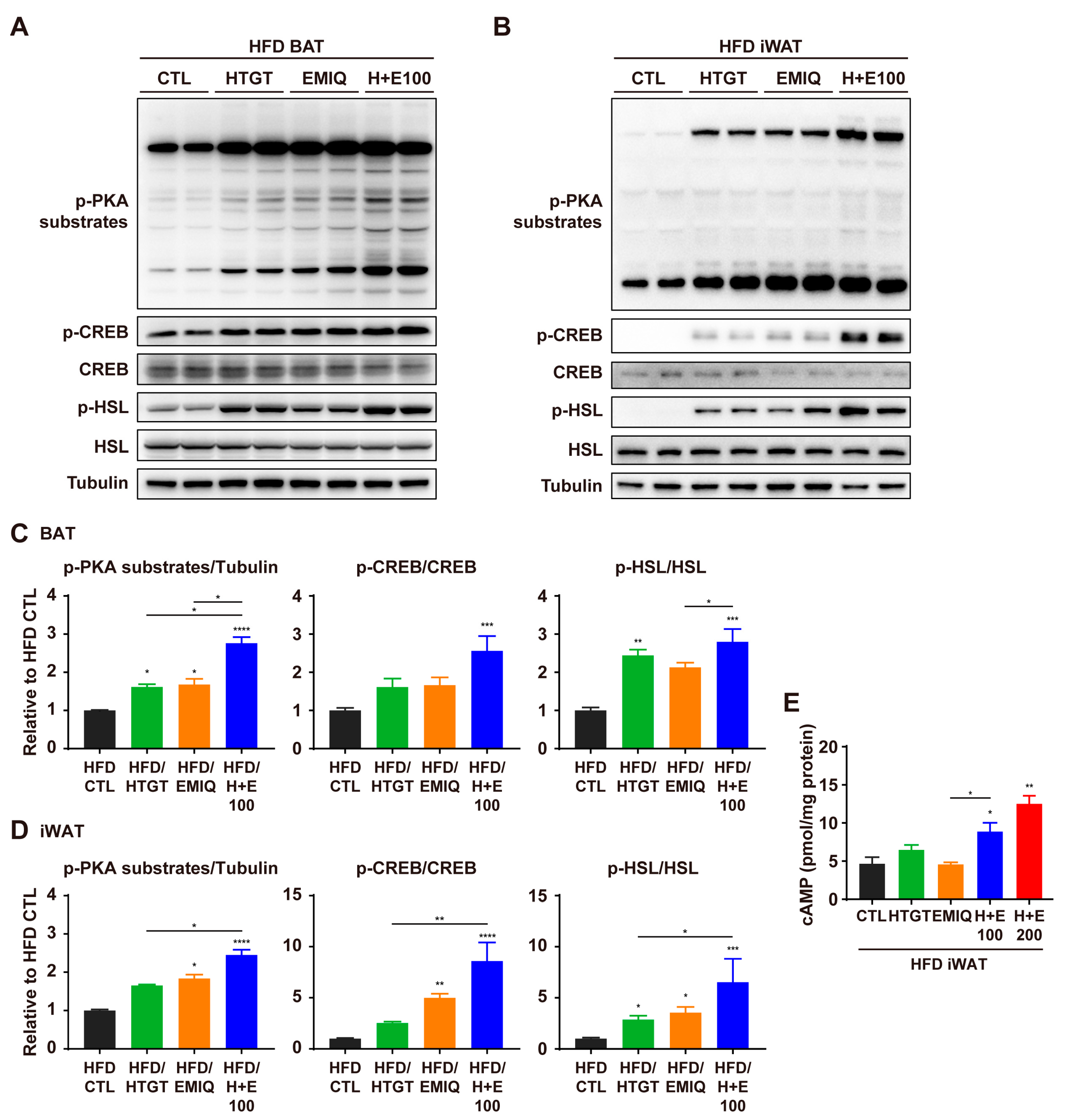 Nutrients 15 02931 g005 Nutrients 15 02931 g005