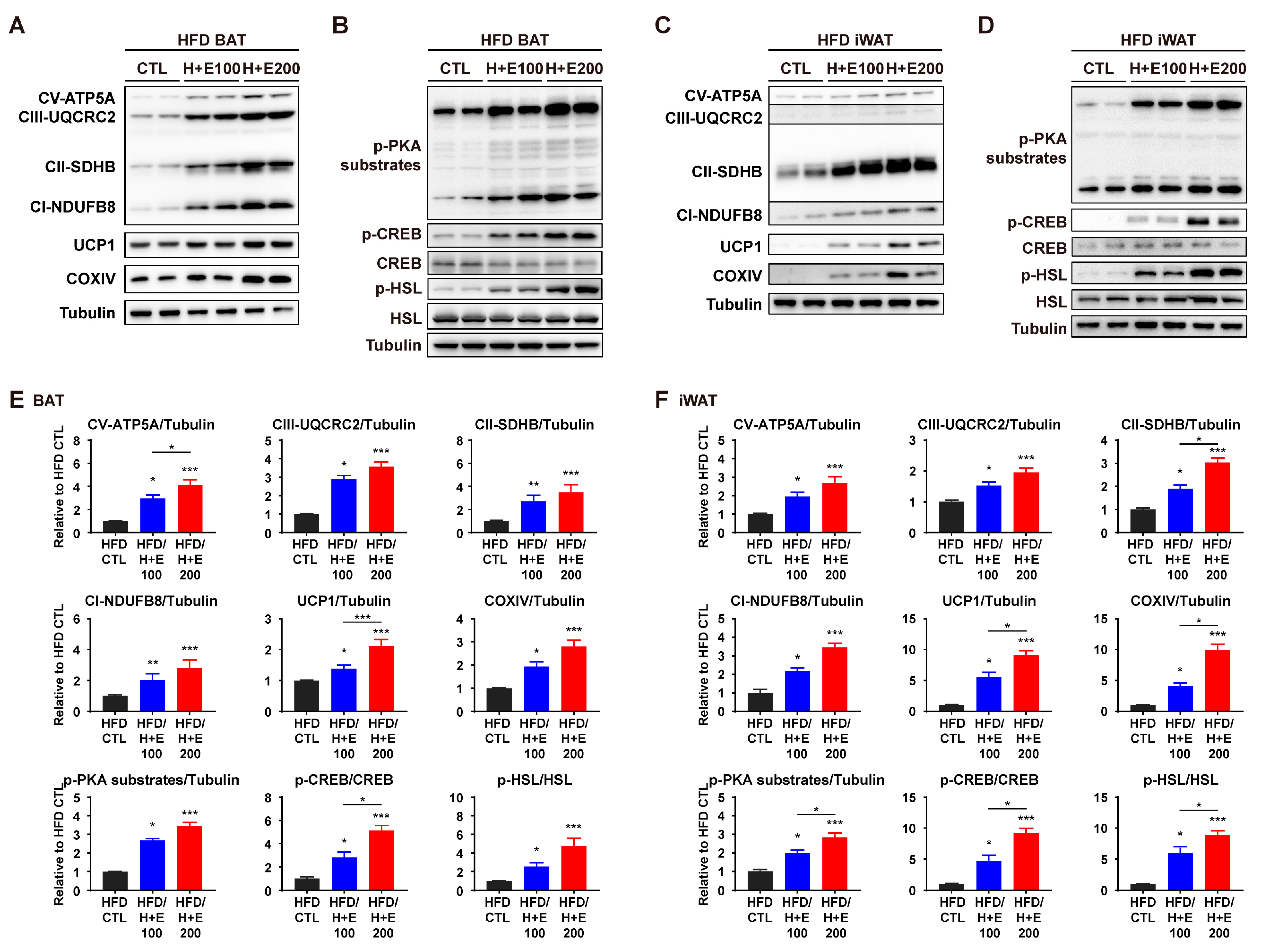 Nutrients 15 02931 g006 Nutrients 15 02931 g006