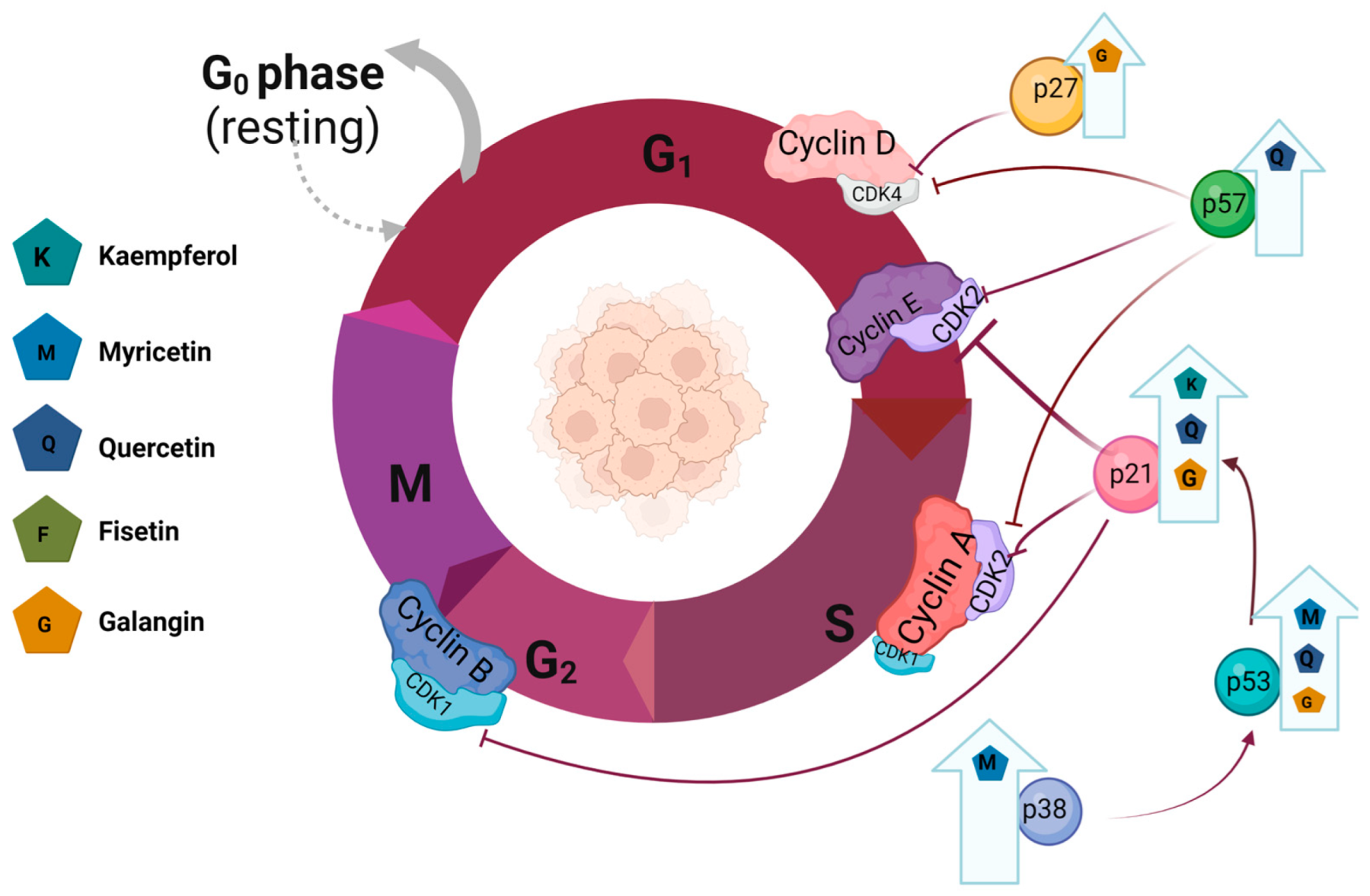 Nutrients 15 02938 g003