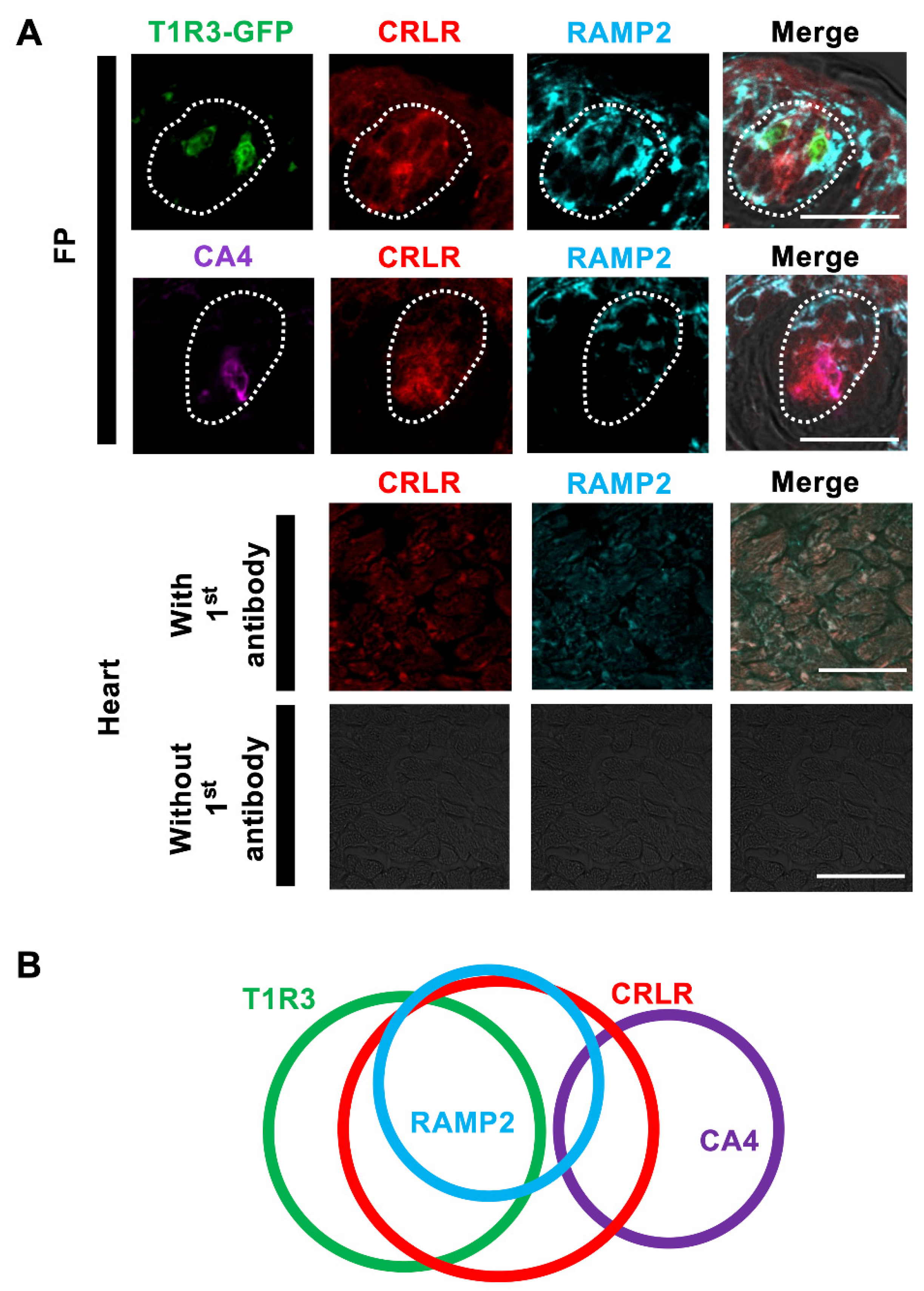 Nutrients 15 02941 g001