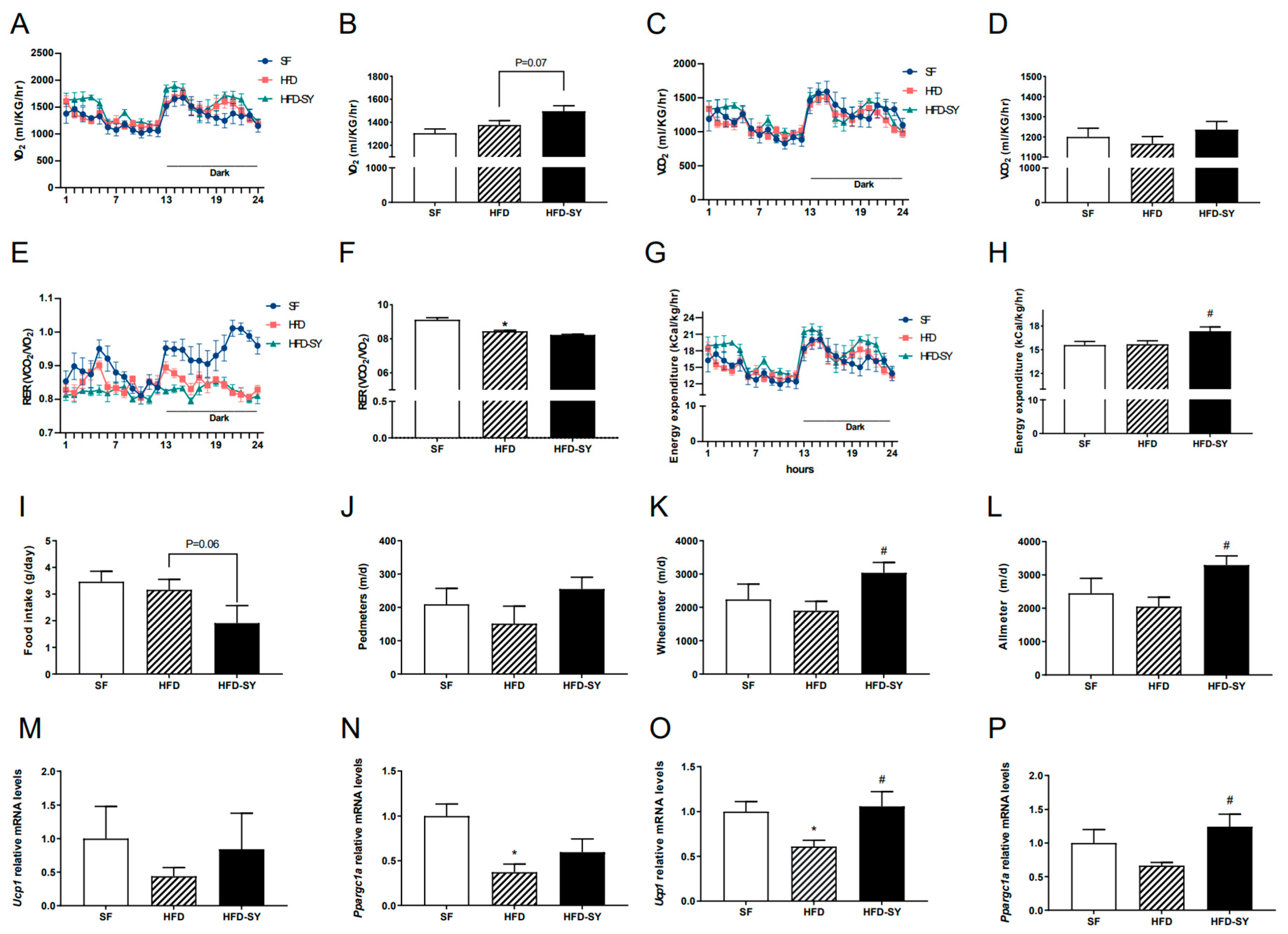 Nutrients 15 02954 g002 Nutrients 15 02954 g002