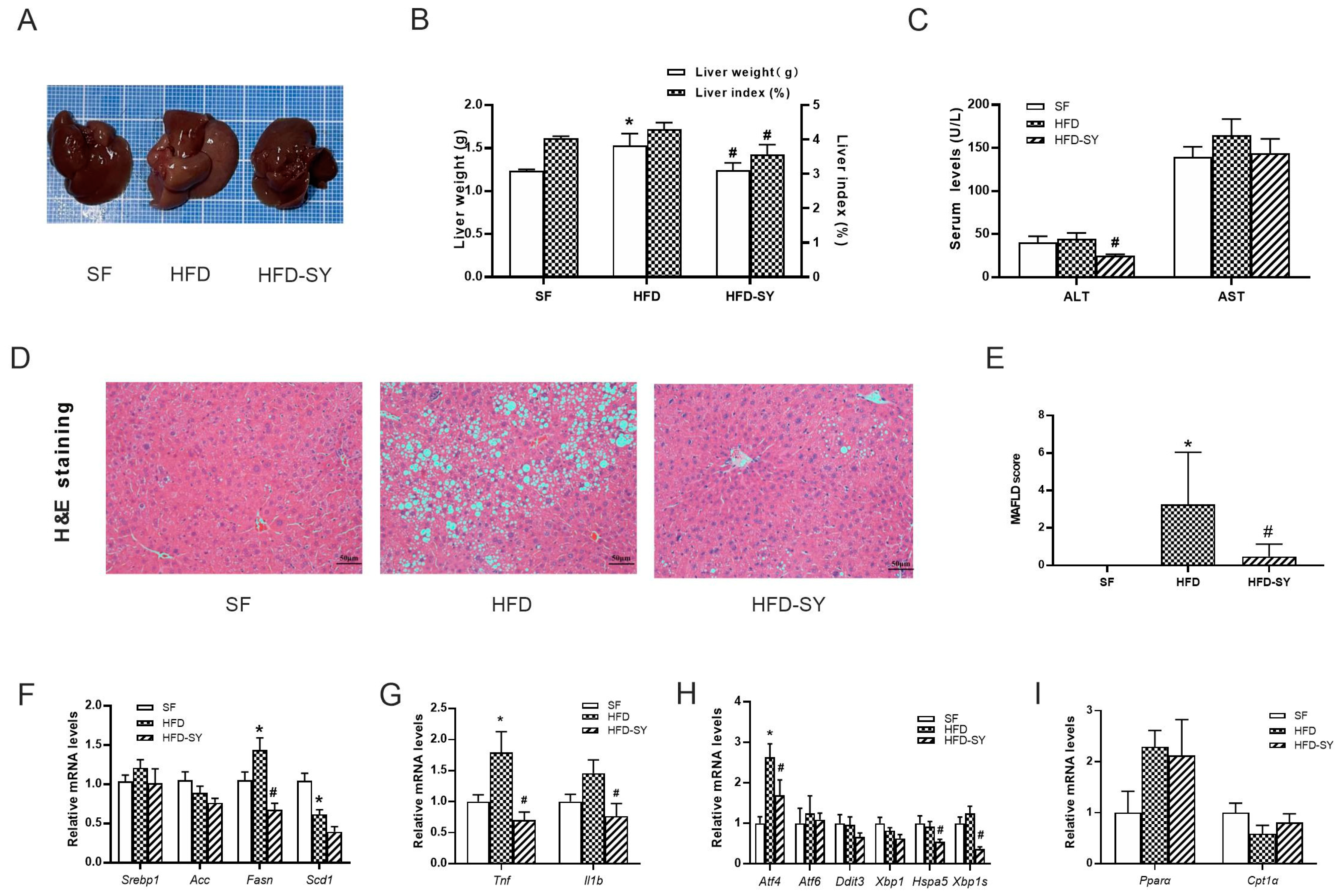 Nutrients 15 02954 g003 Nutrients 15 02954 g003