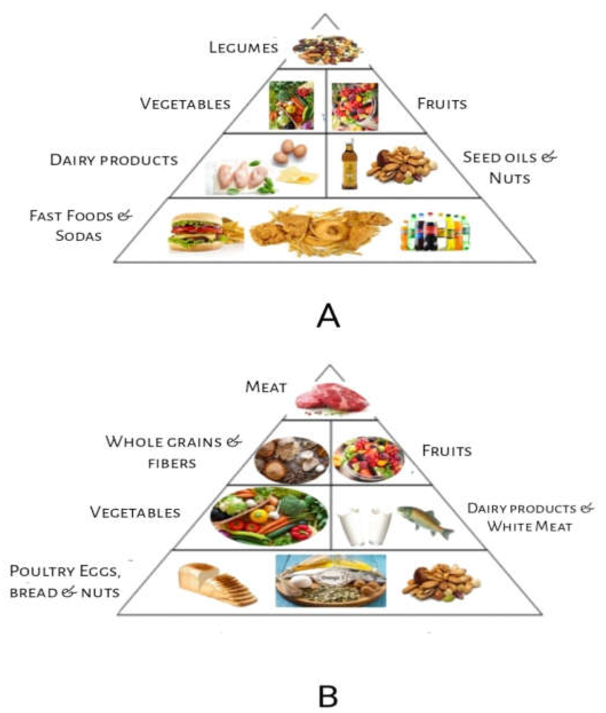 Nutrients 15 02956 g001 Nutrients 15 02956 g001