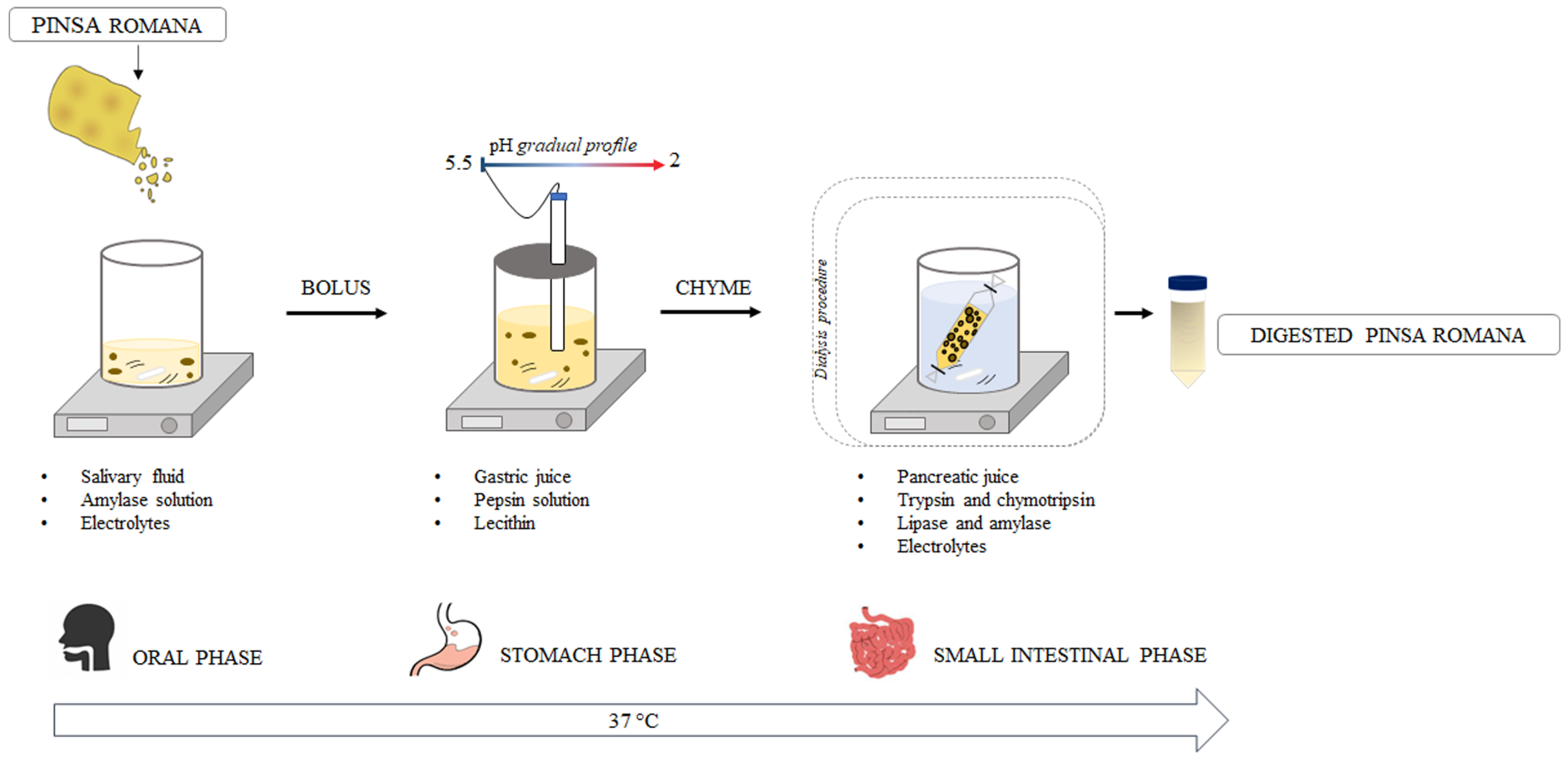 Nutrients 15 02958 g002 Nutrients 15 02958 g002